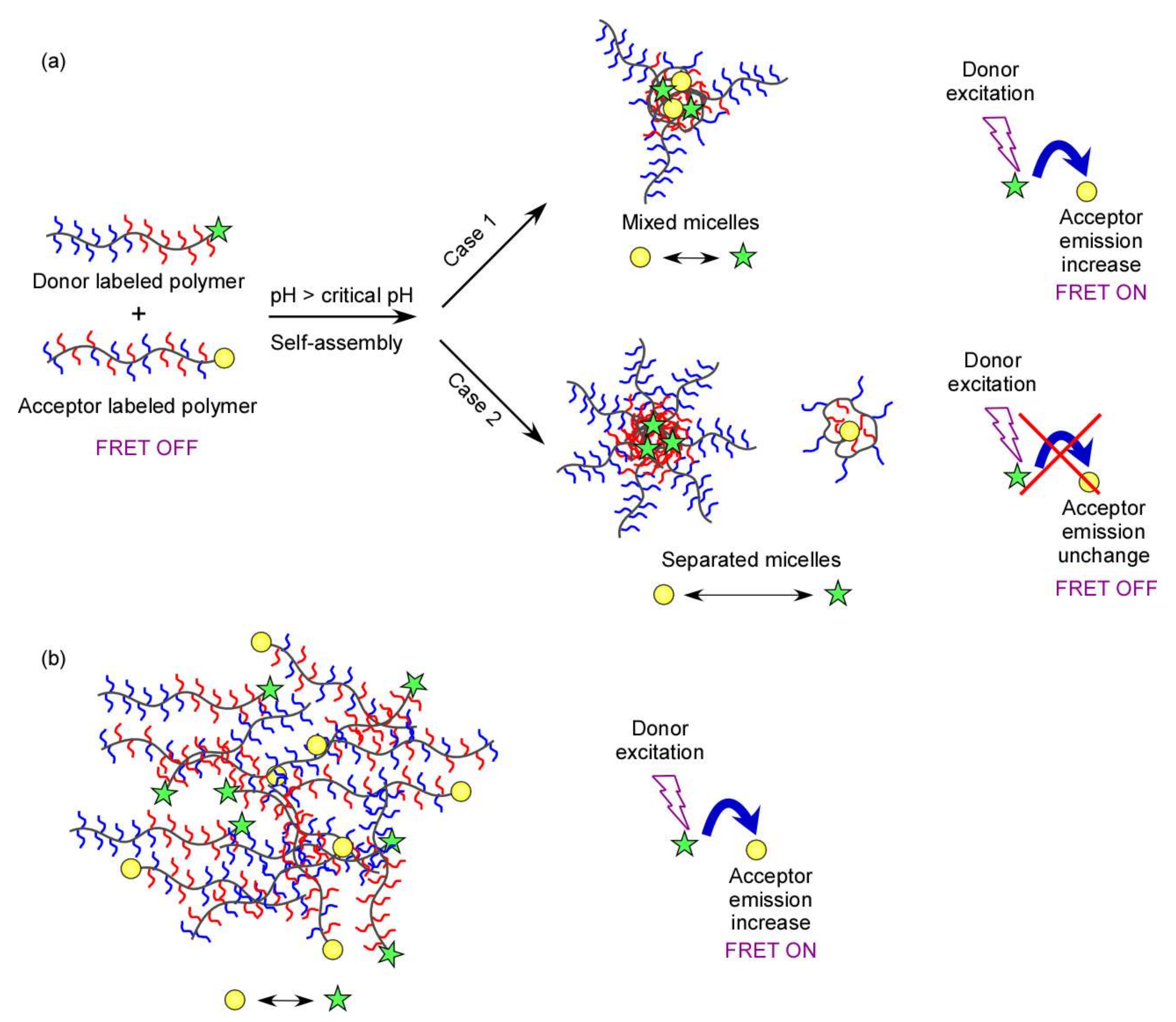 Polymers 14 00577 g006 550