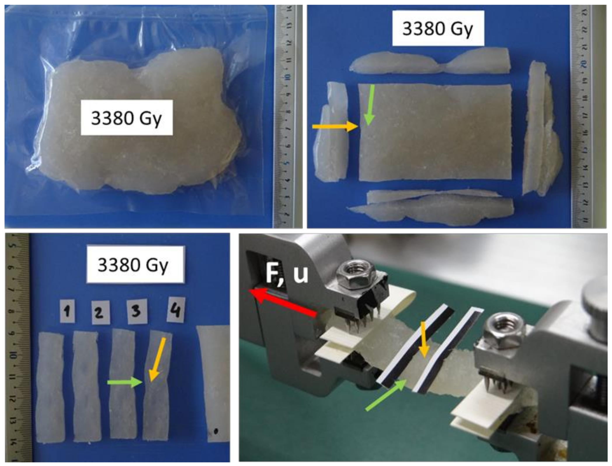 Polymers 14 00578 g001 550