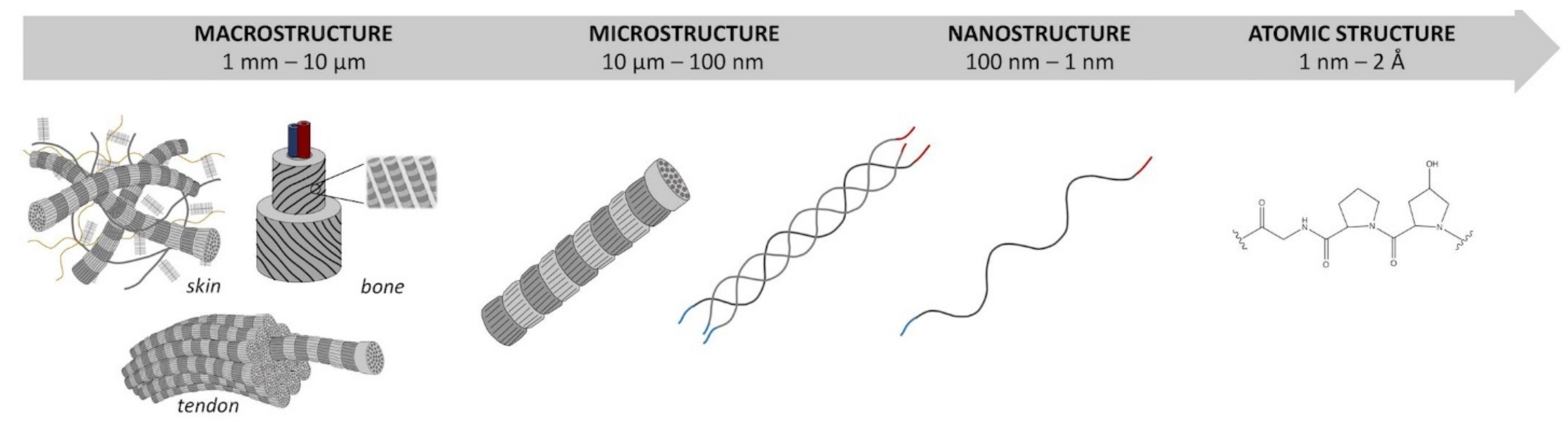 Polymers 14 00580 g001