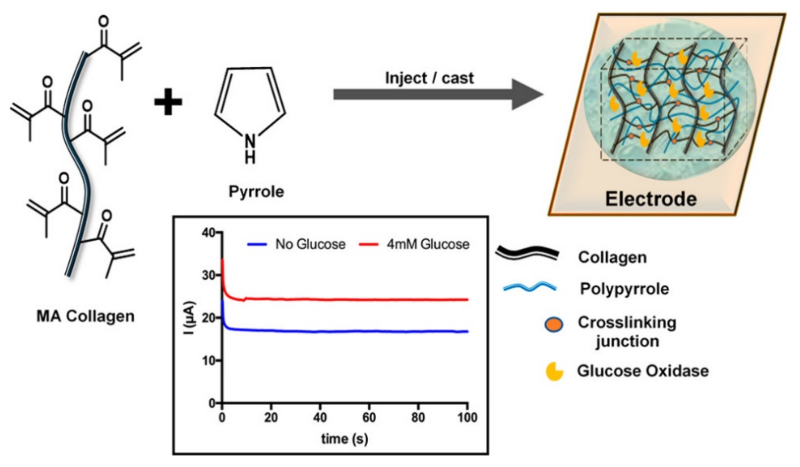 Polymers 14 00580 g002