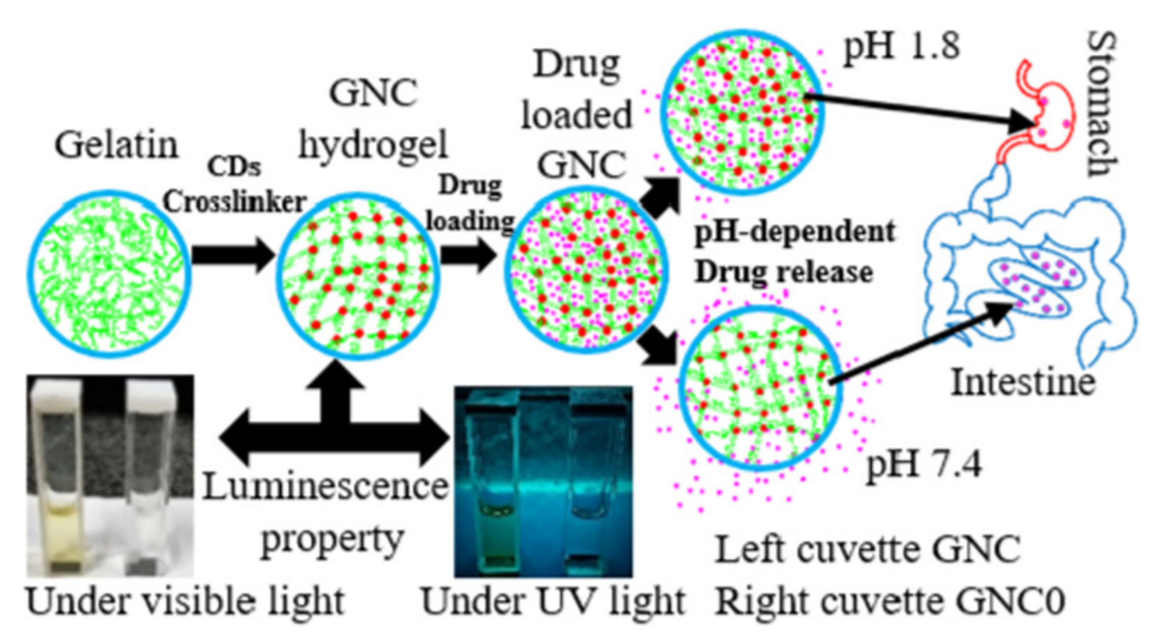 Polymers 14 00580 g005