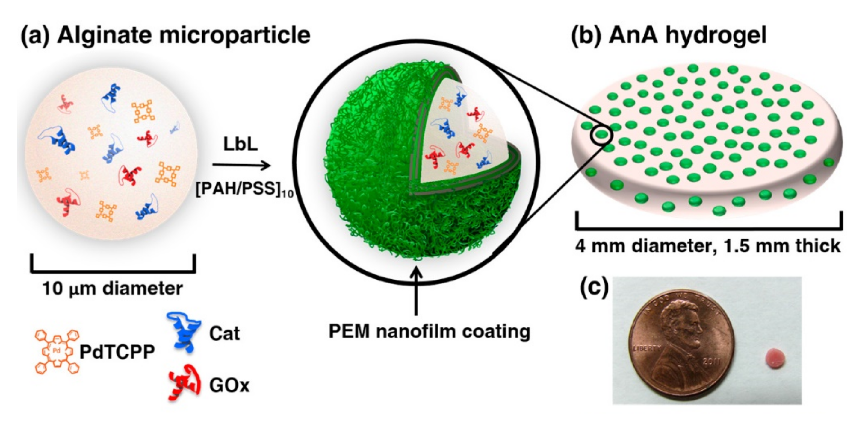 Polymers 14 00580 g007