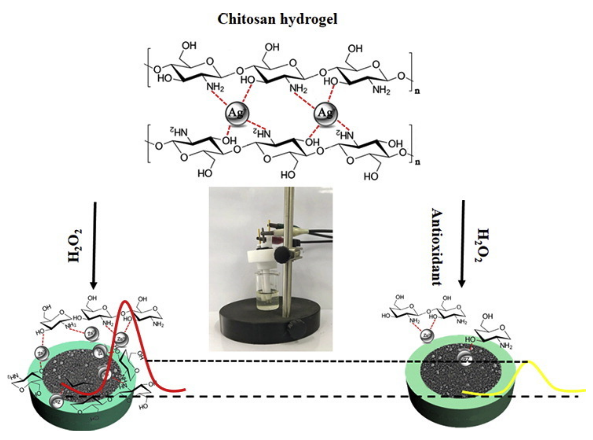 Polymers 14 00580 g008