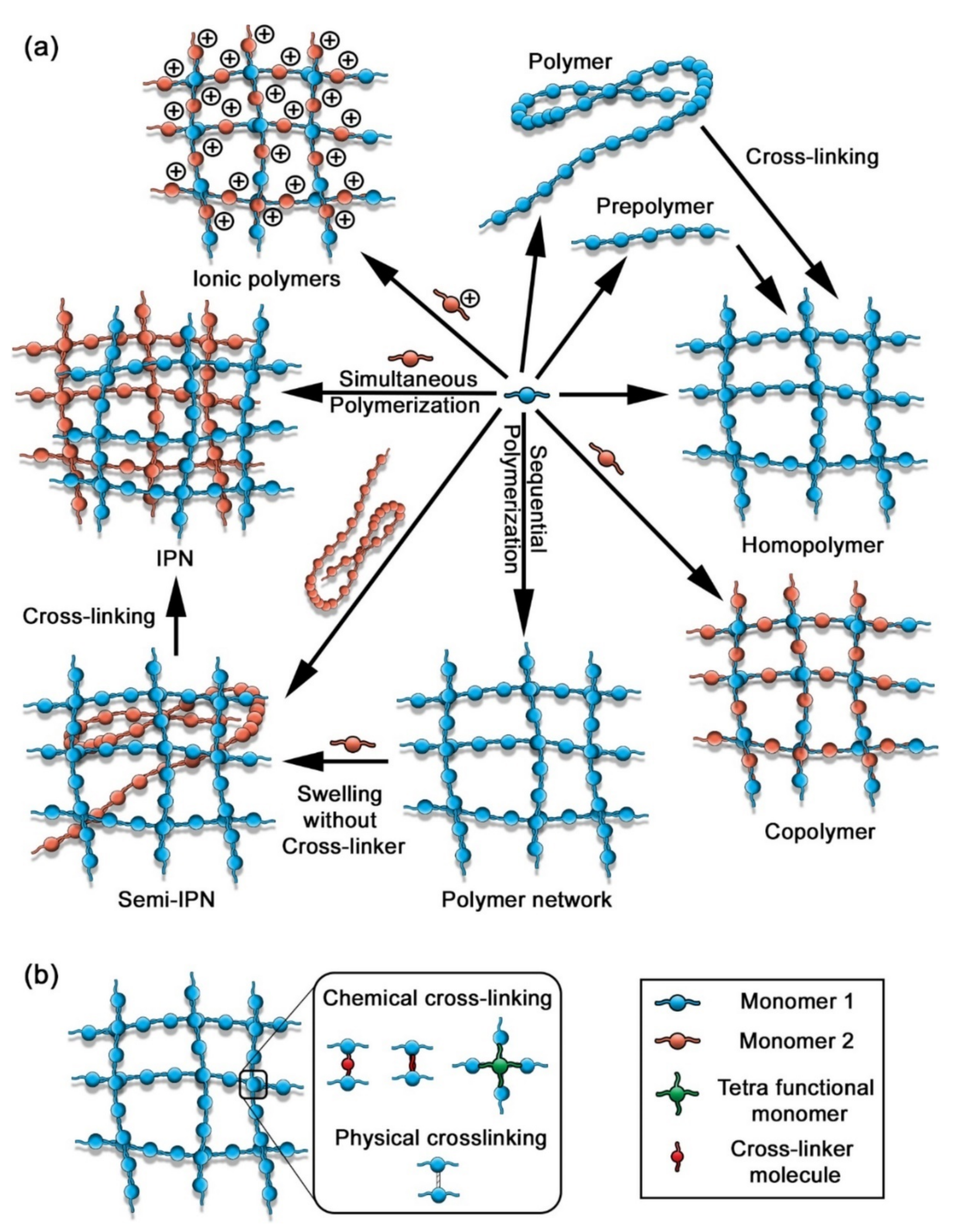 Polymers 14 00580 g009