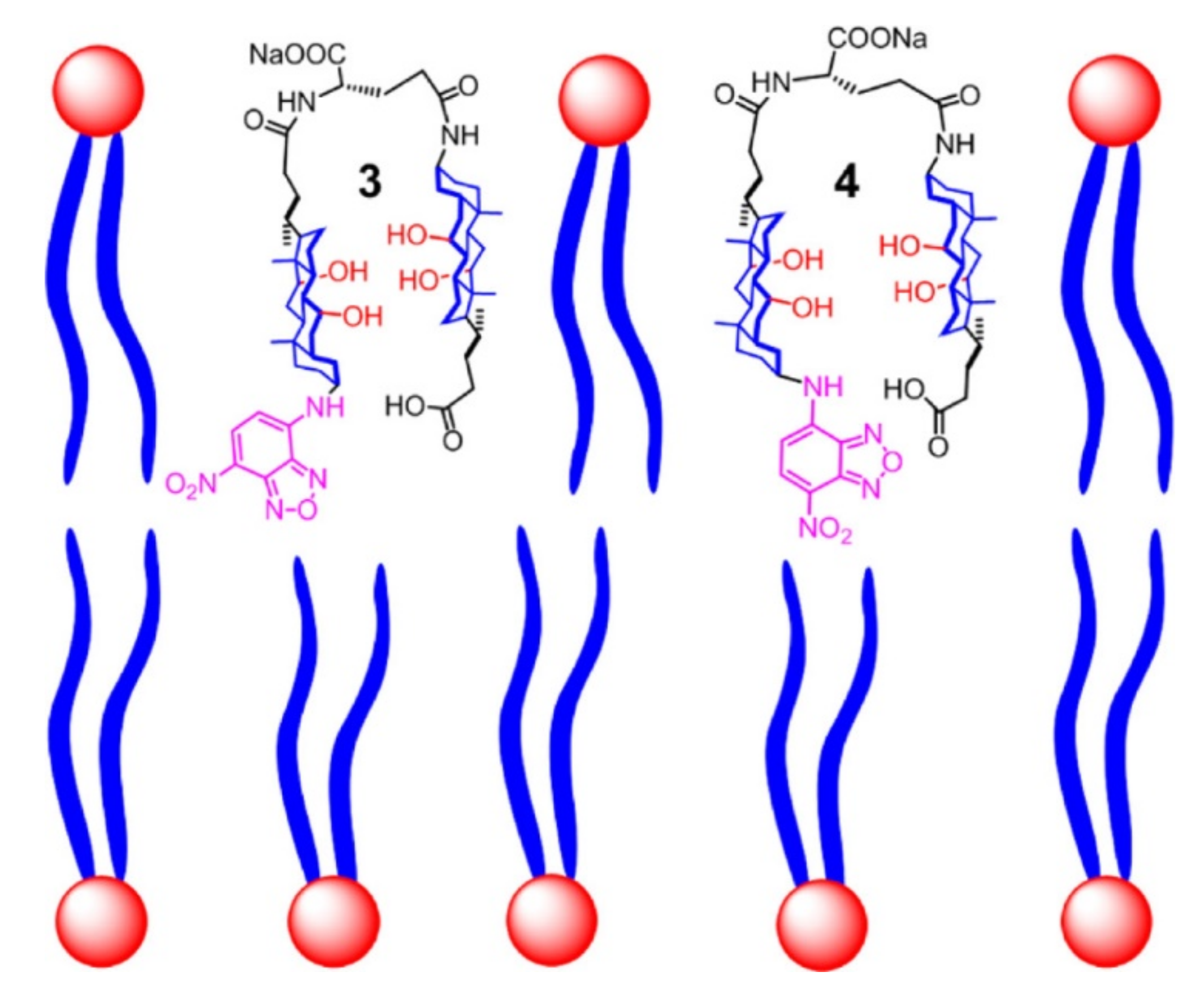 Polymers 14 00580 g014