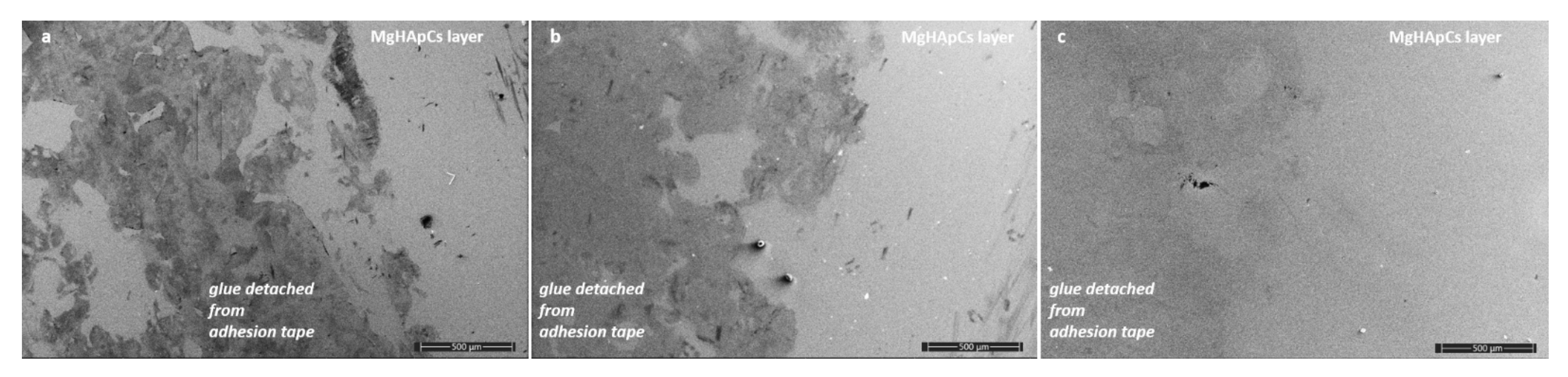 Polymers 14 00582 g004