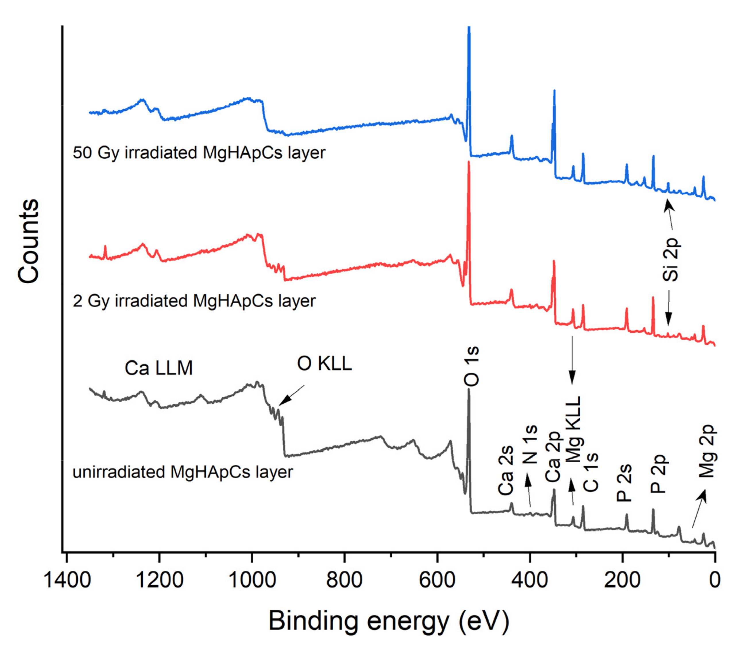 Polymers 14 00582 g005