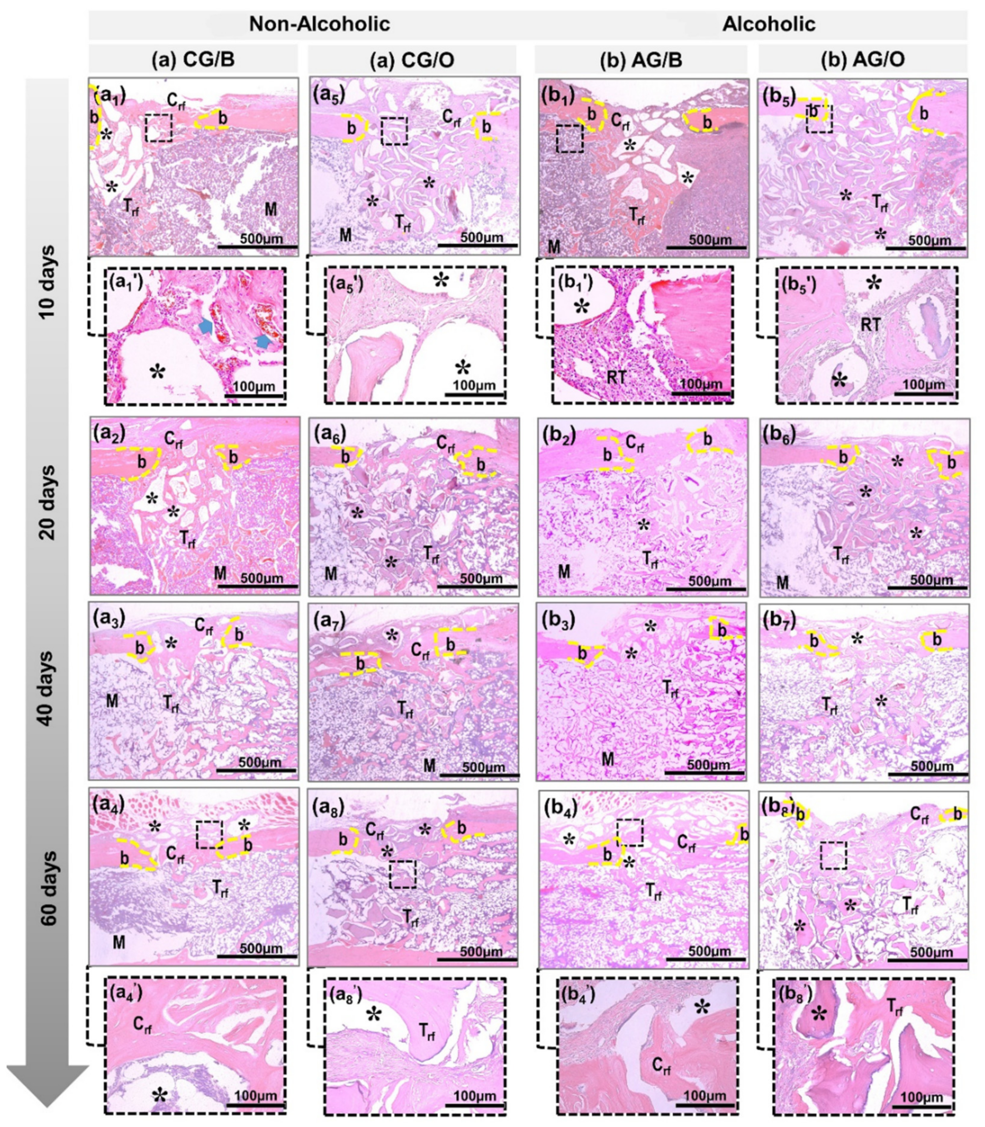 Polymers 14 00584 g002 Polymers 14 00584 g002