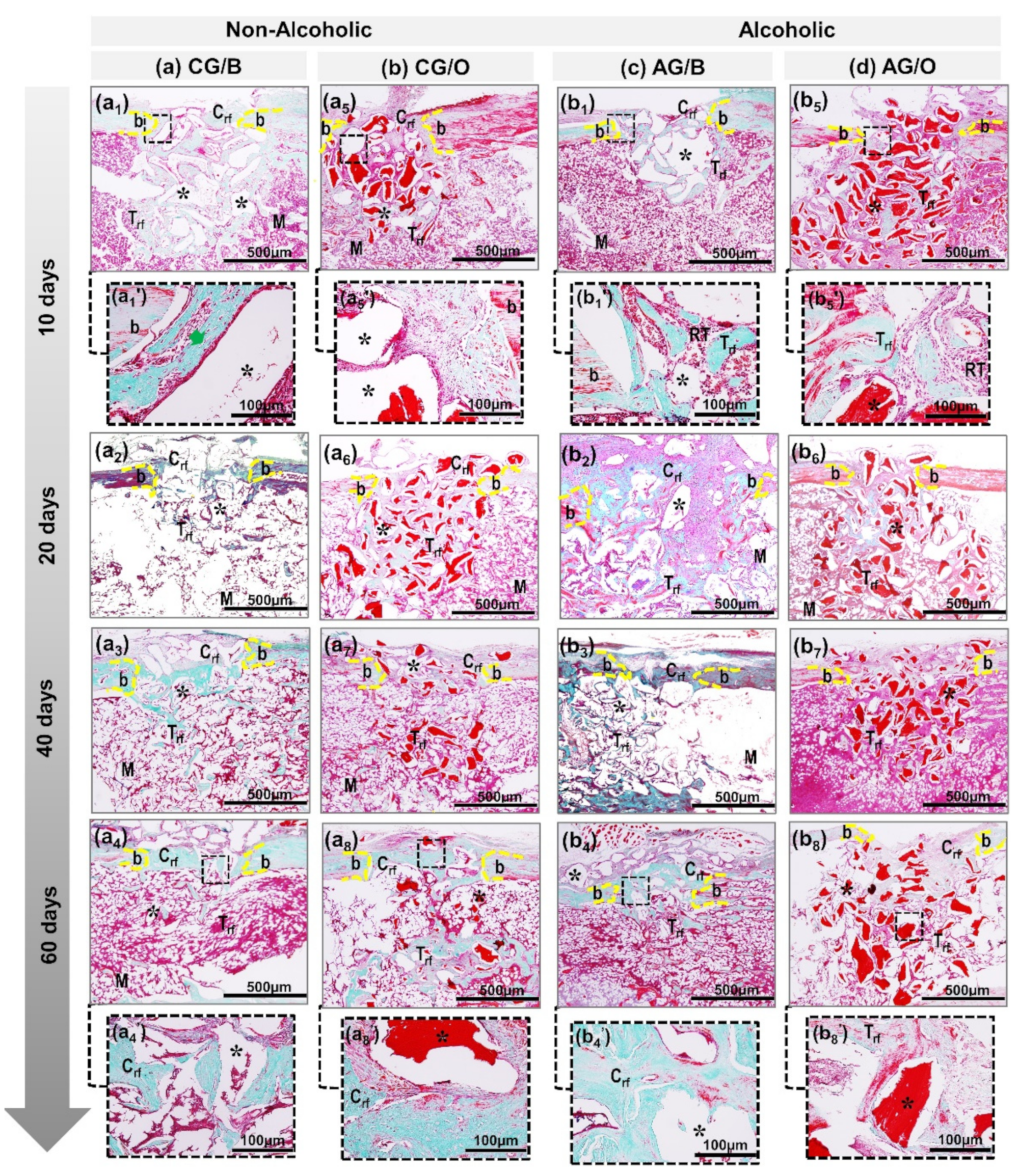 Polymers 14 00584 g003 Polymers 14 00584 g003