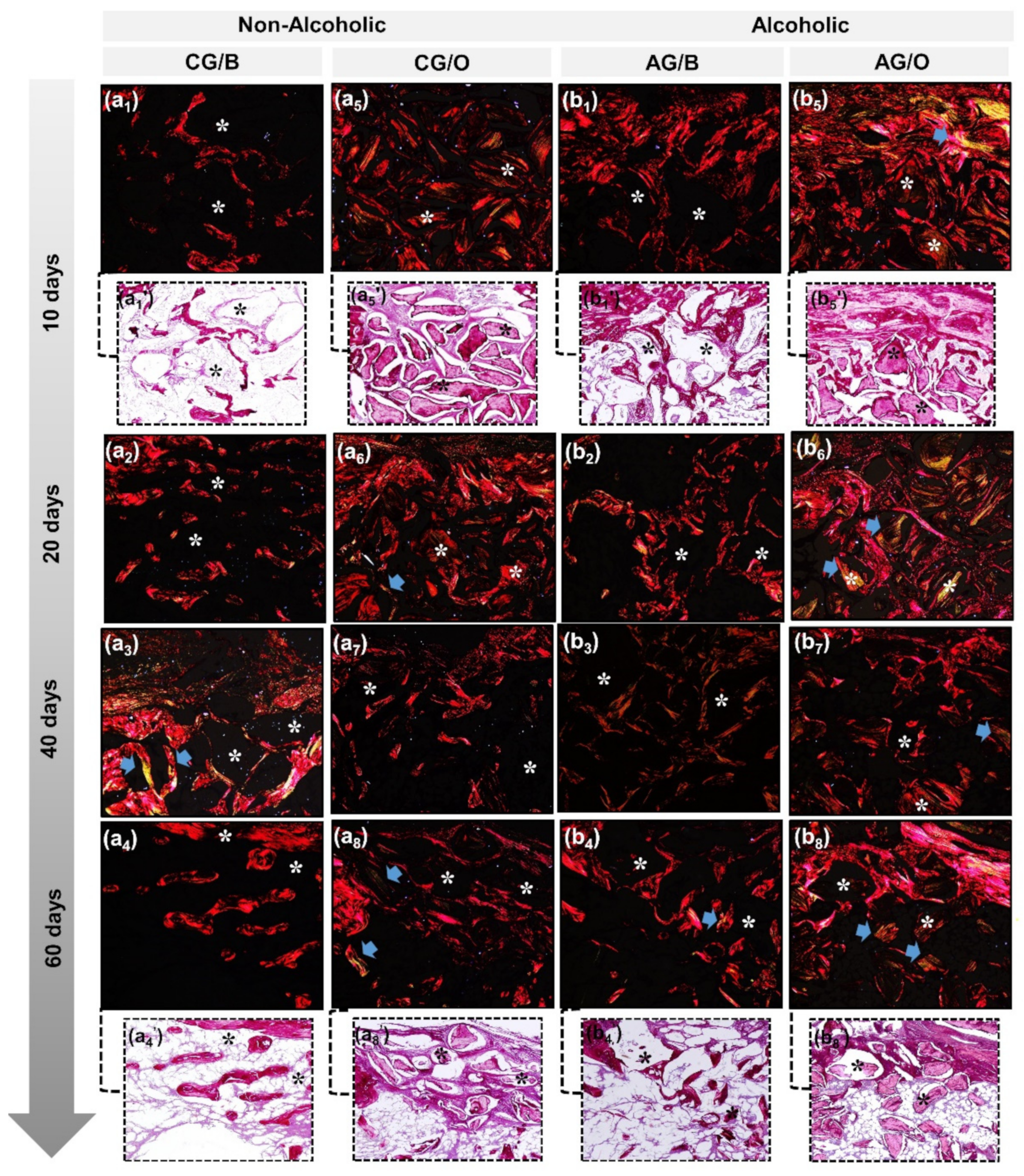 Polymers 14 00584 g004 Polymers 14 00584 g004