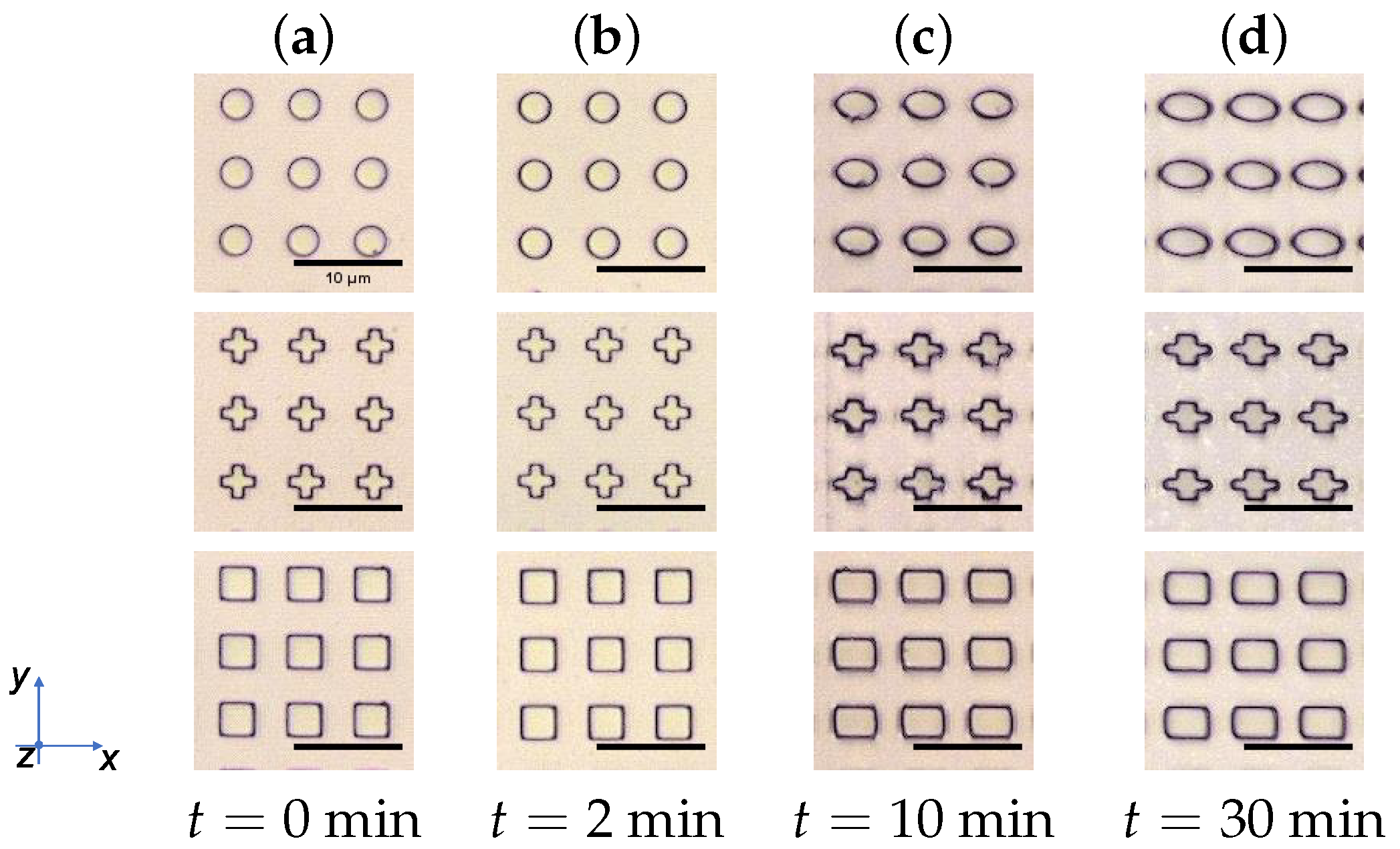 Polymers 14 00586 g007 550