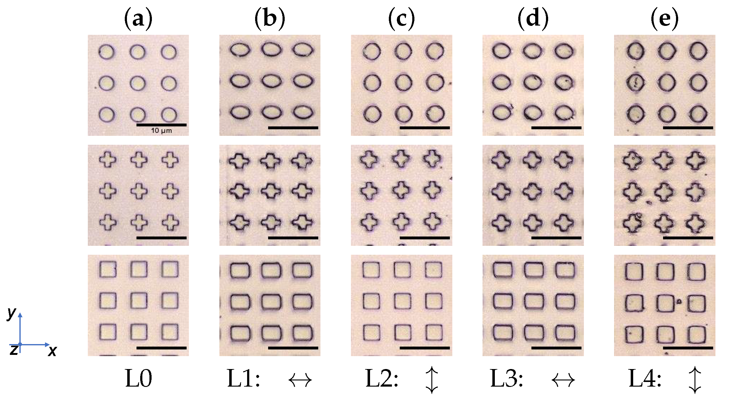 Polymers 14 00586 g009 550