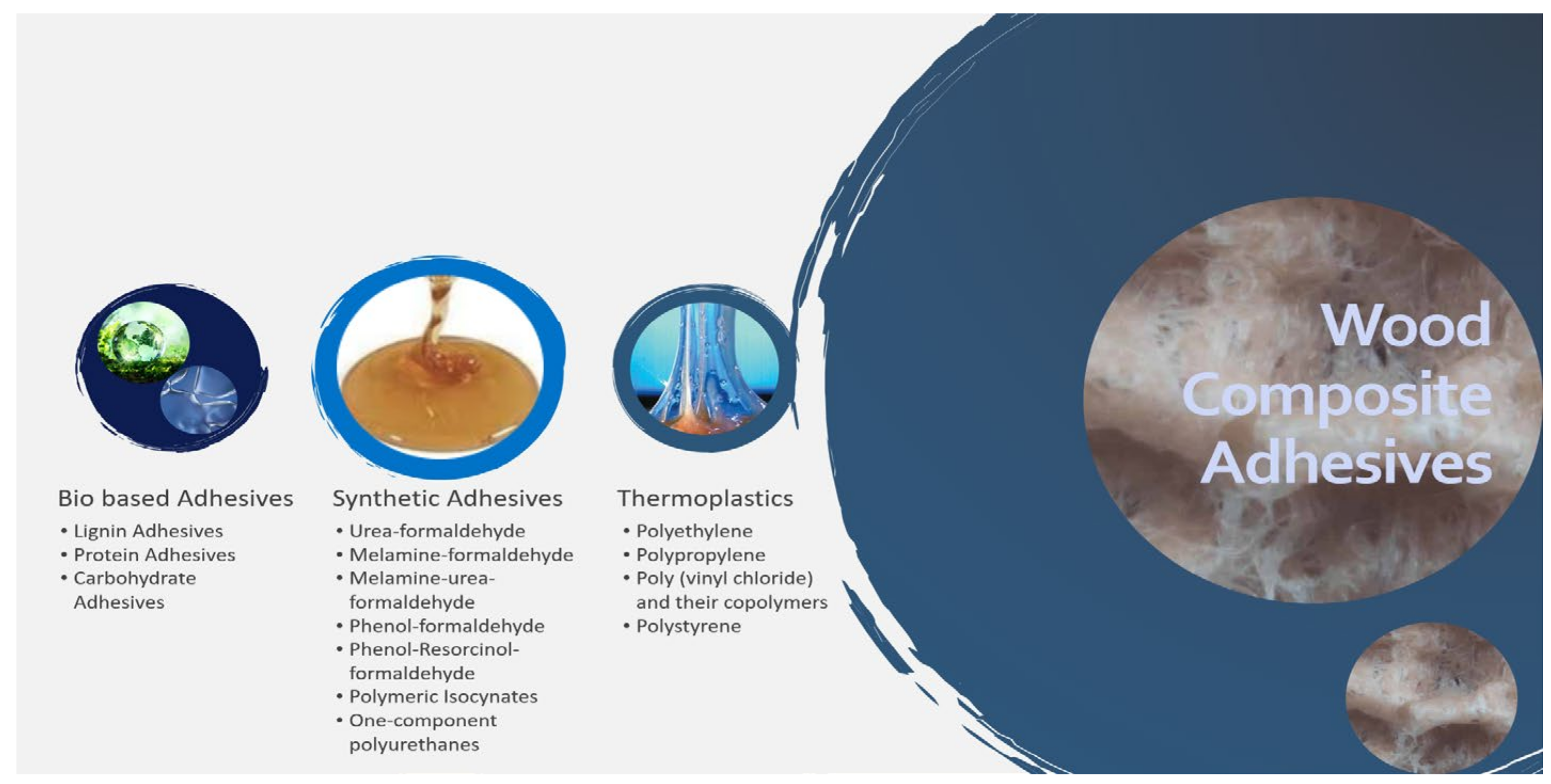 Polymers 14 00589 g003