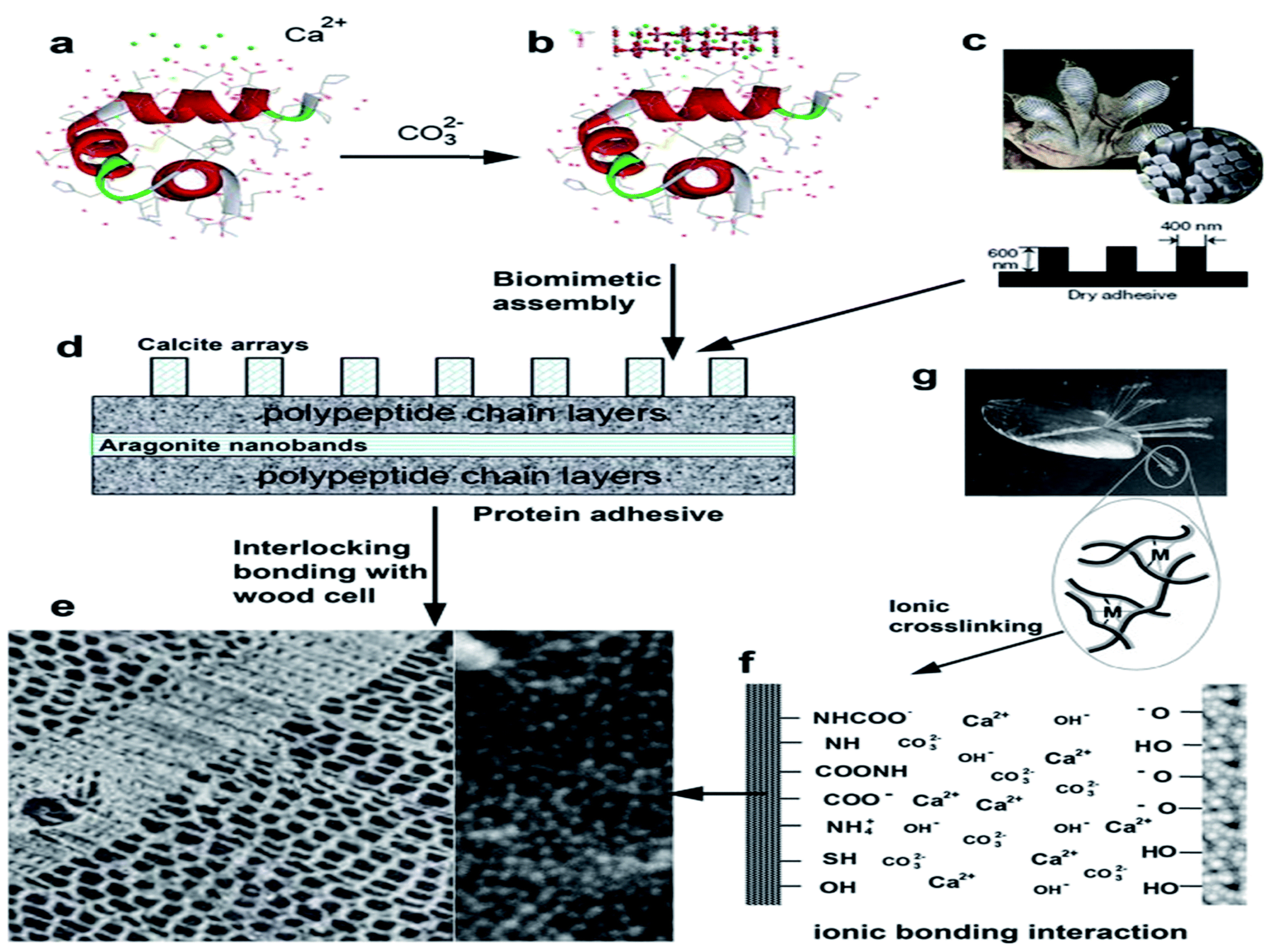 Polymers 14 00589 g005