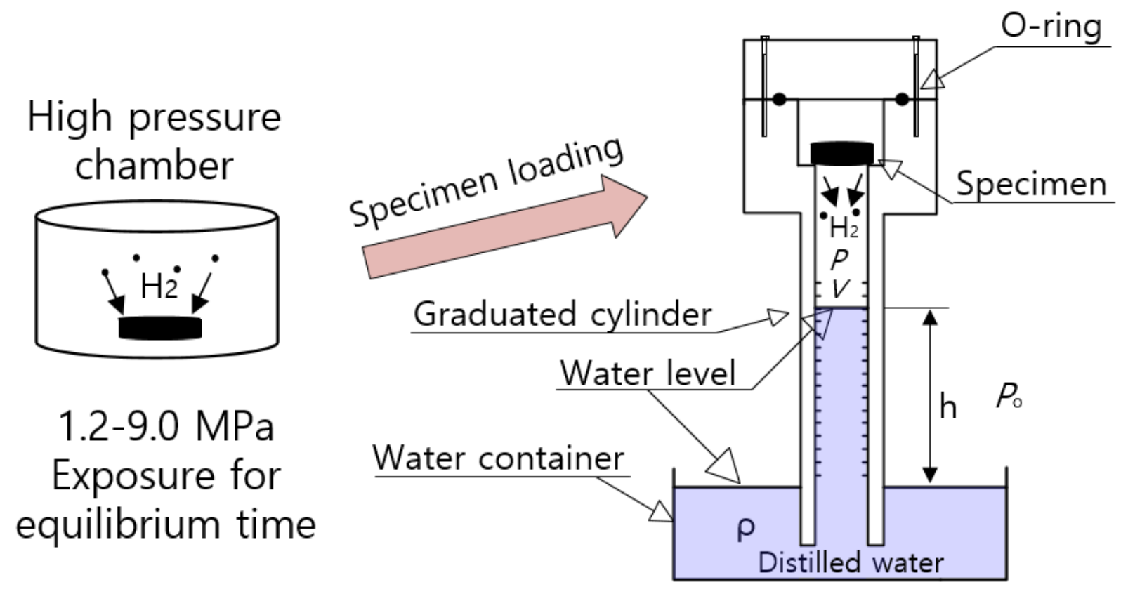 Polymers 14 00592 g001 550