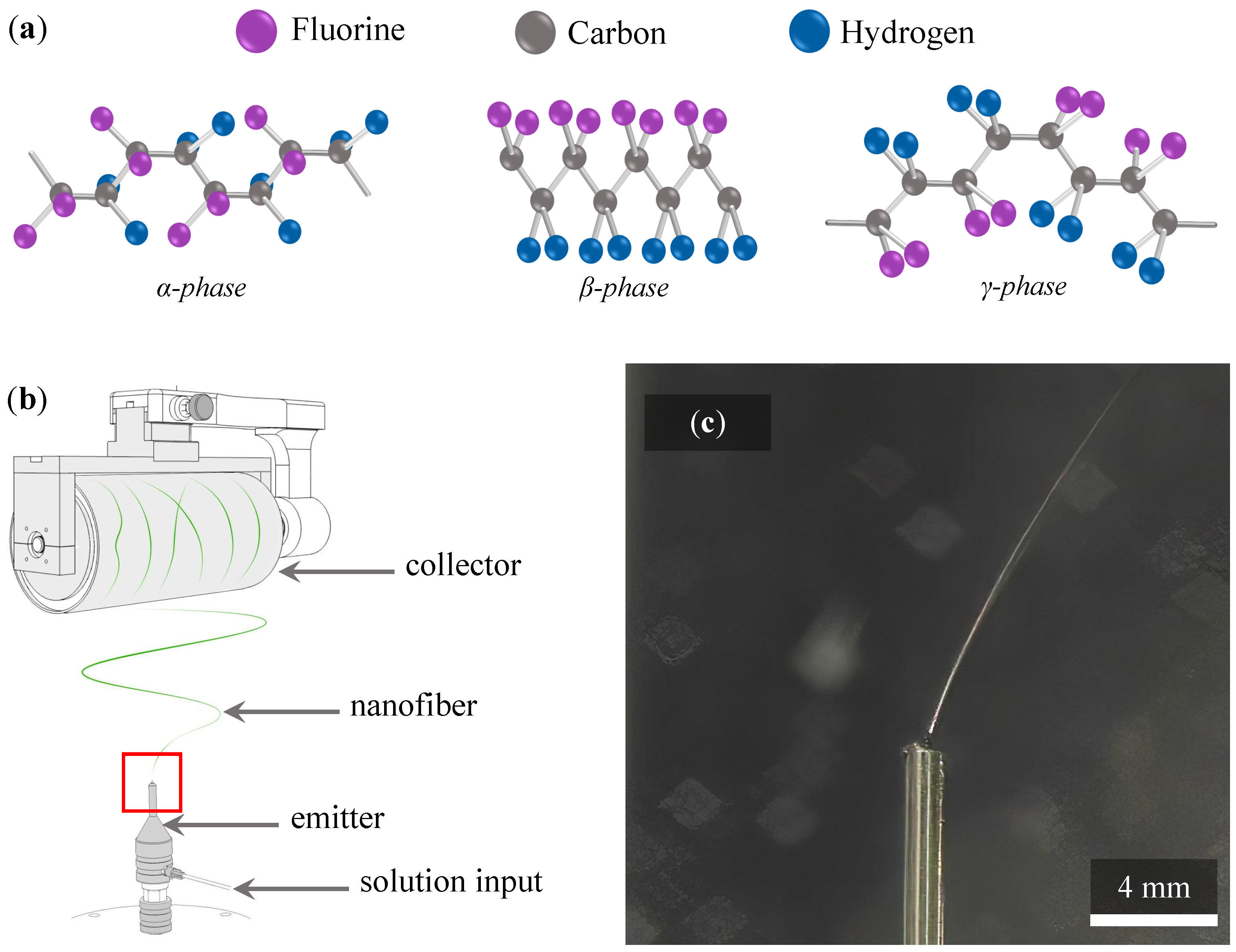Polymers 14 00593 g001 550