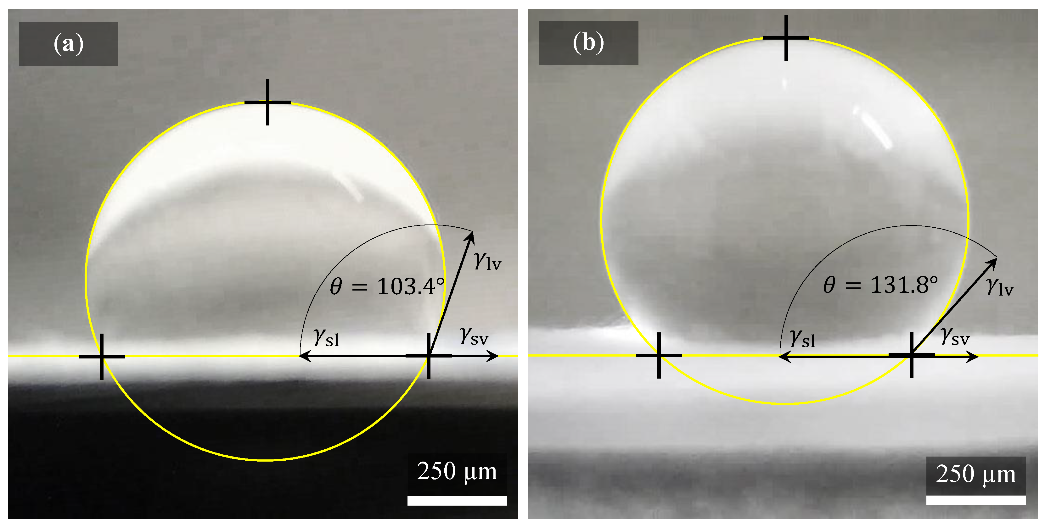 Polymers 14 00593 g009 550