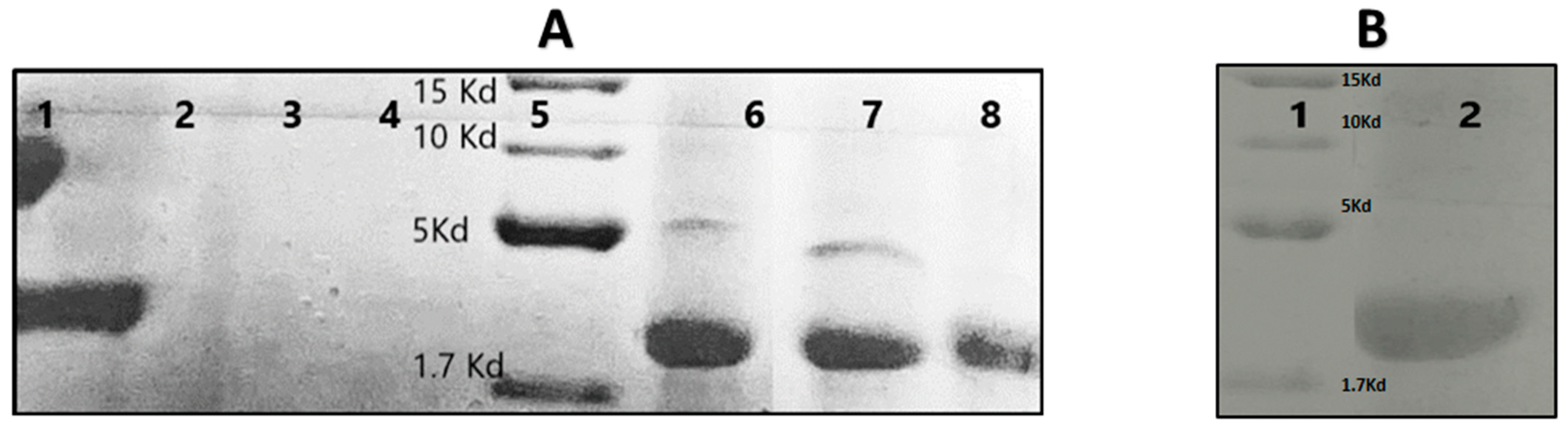Polymers 14 00594 g003