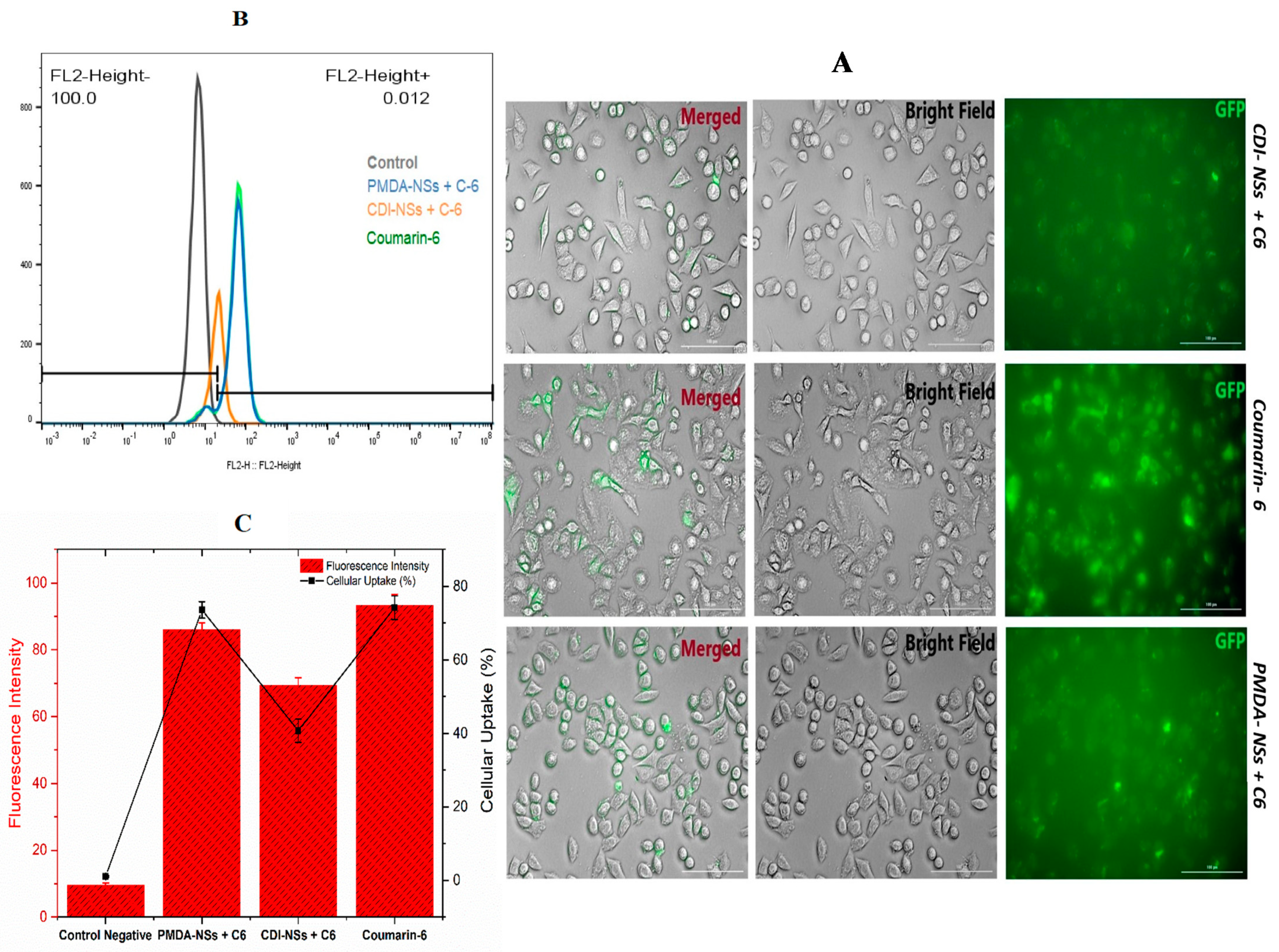 Polymers 14 00594 g005