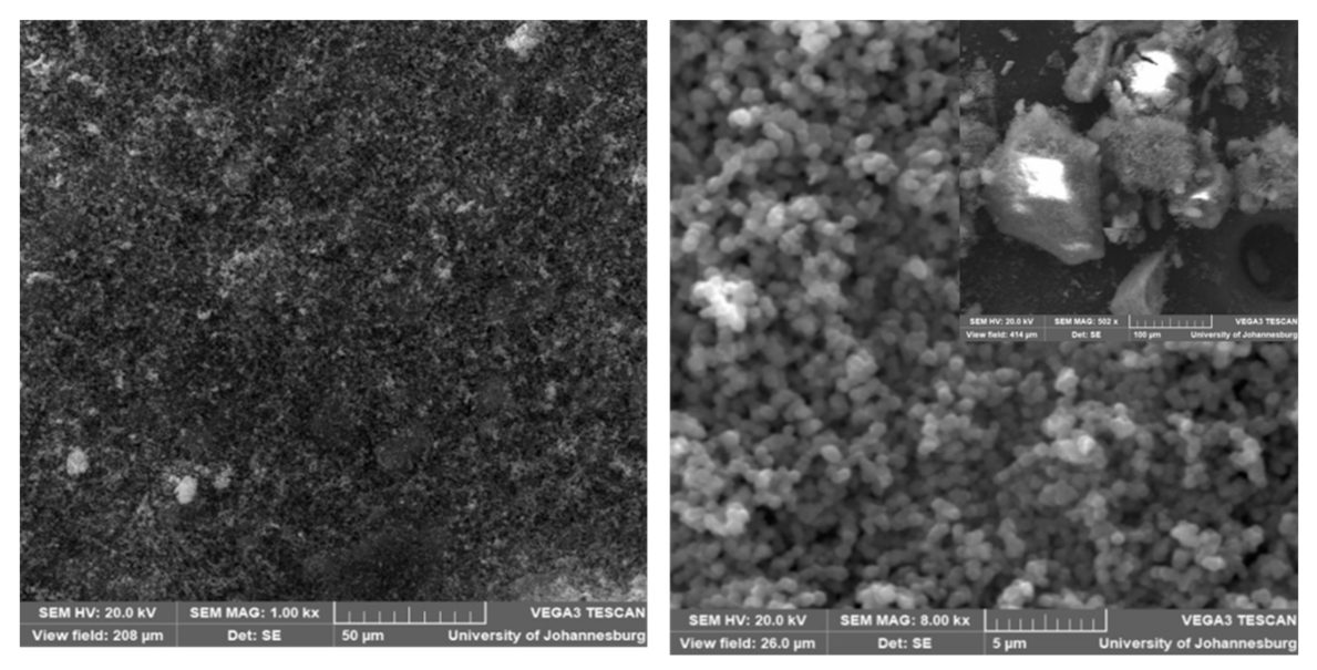 Polymers 14 00595 g003