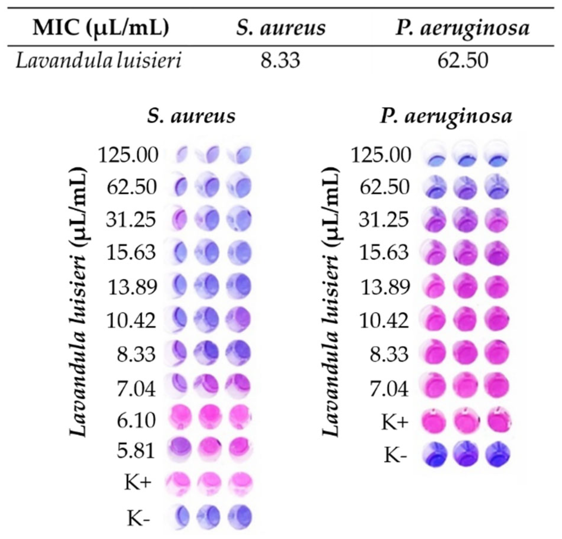 Polymers 14 00597 g002