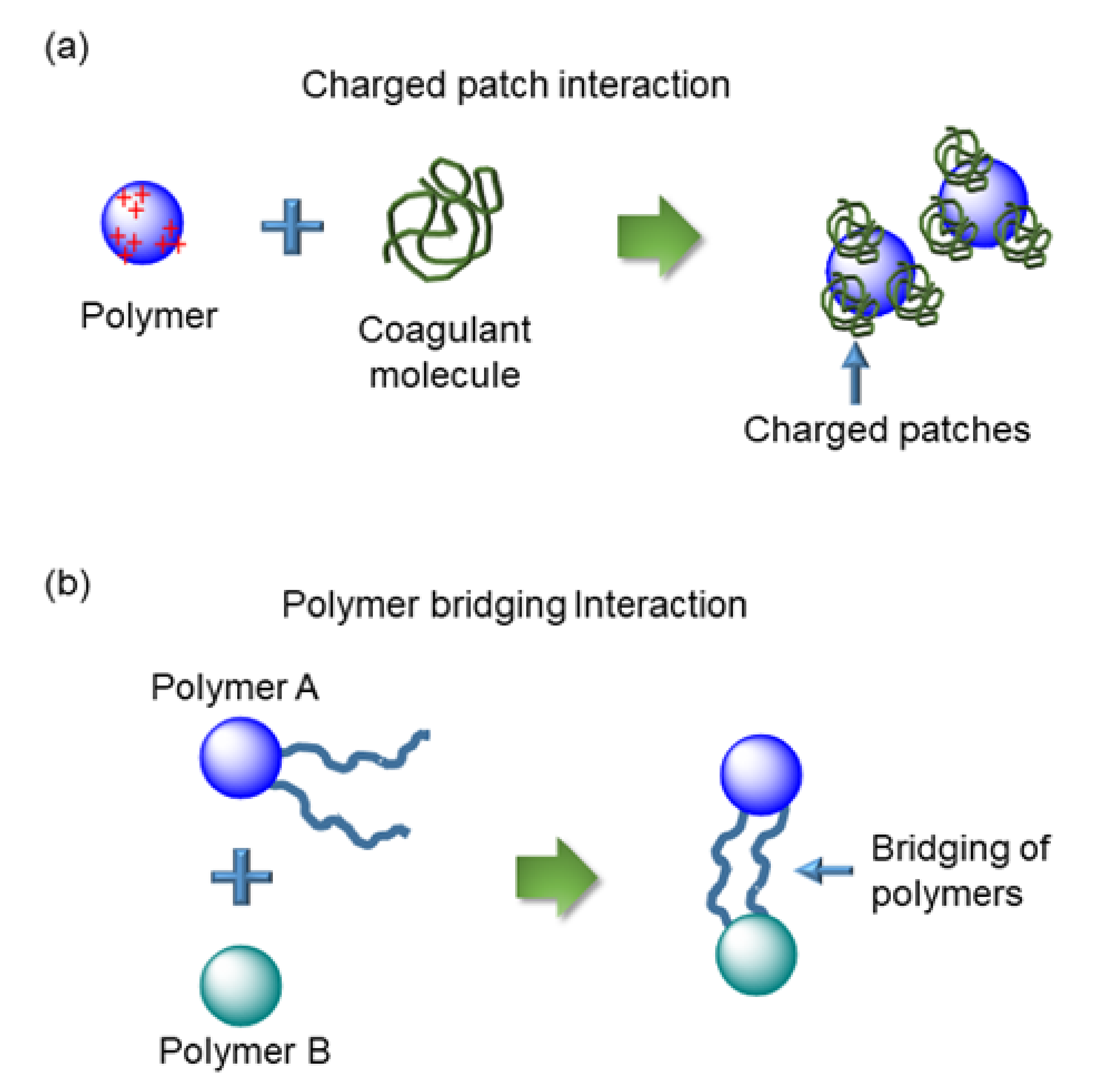 Polymers 14 00598 g004 550