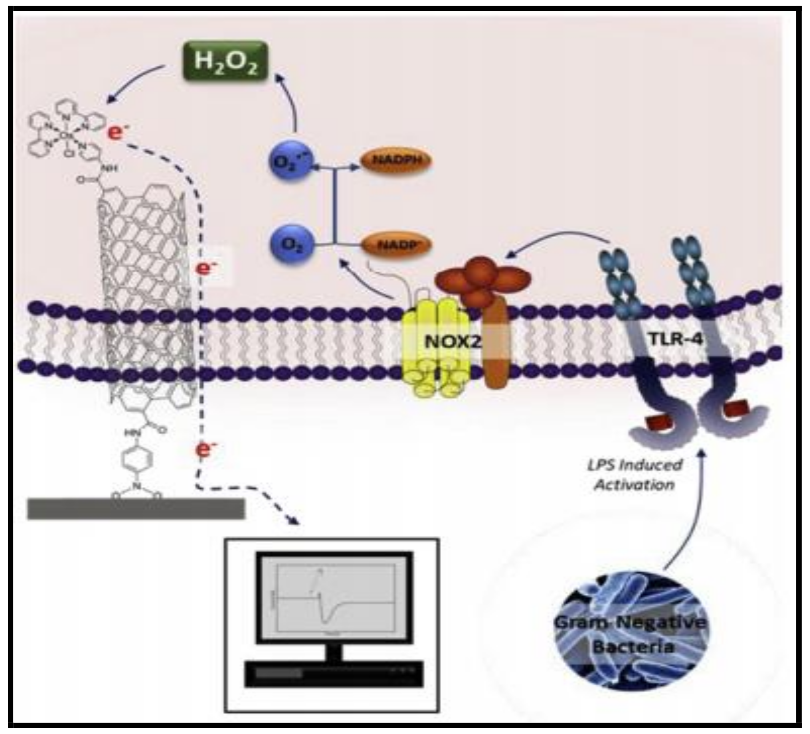 Polymers 14 00601 g003 Polymers 14 00601 g003