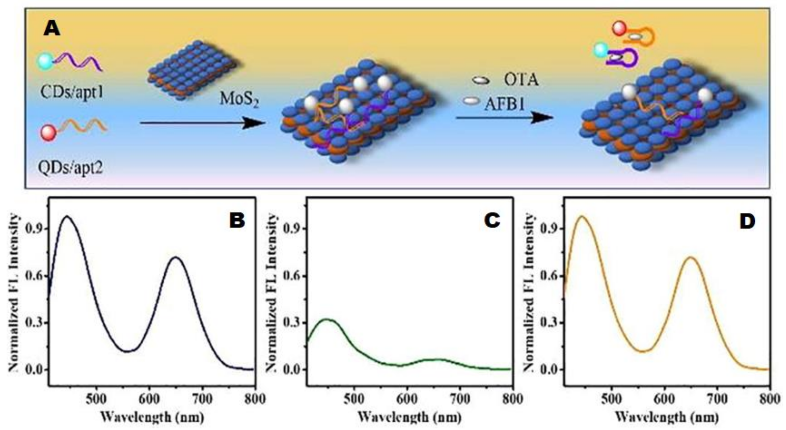 Polymers 14 00601 g011 Polymers 14 00601 g011