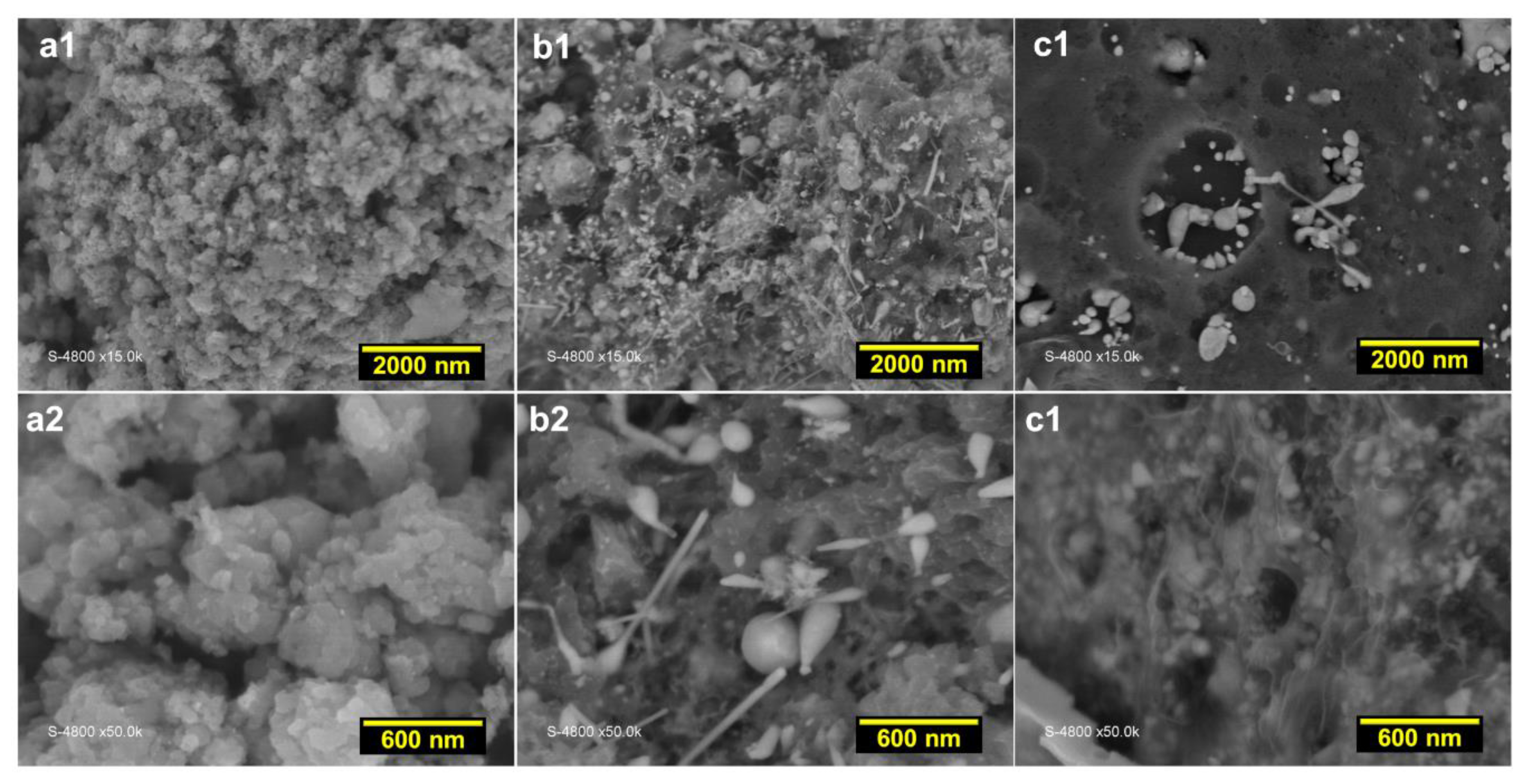 Polymers 14 00607 g005