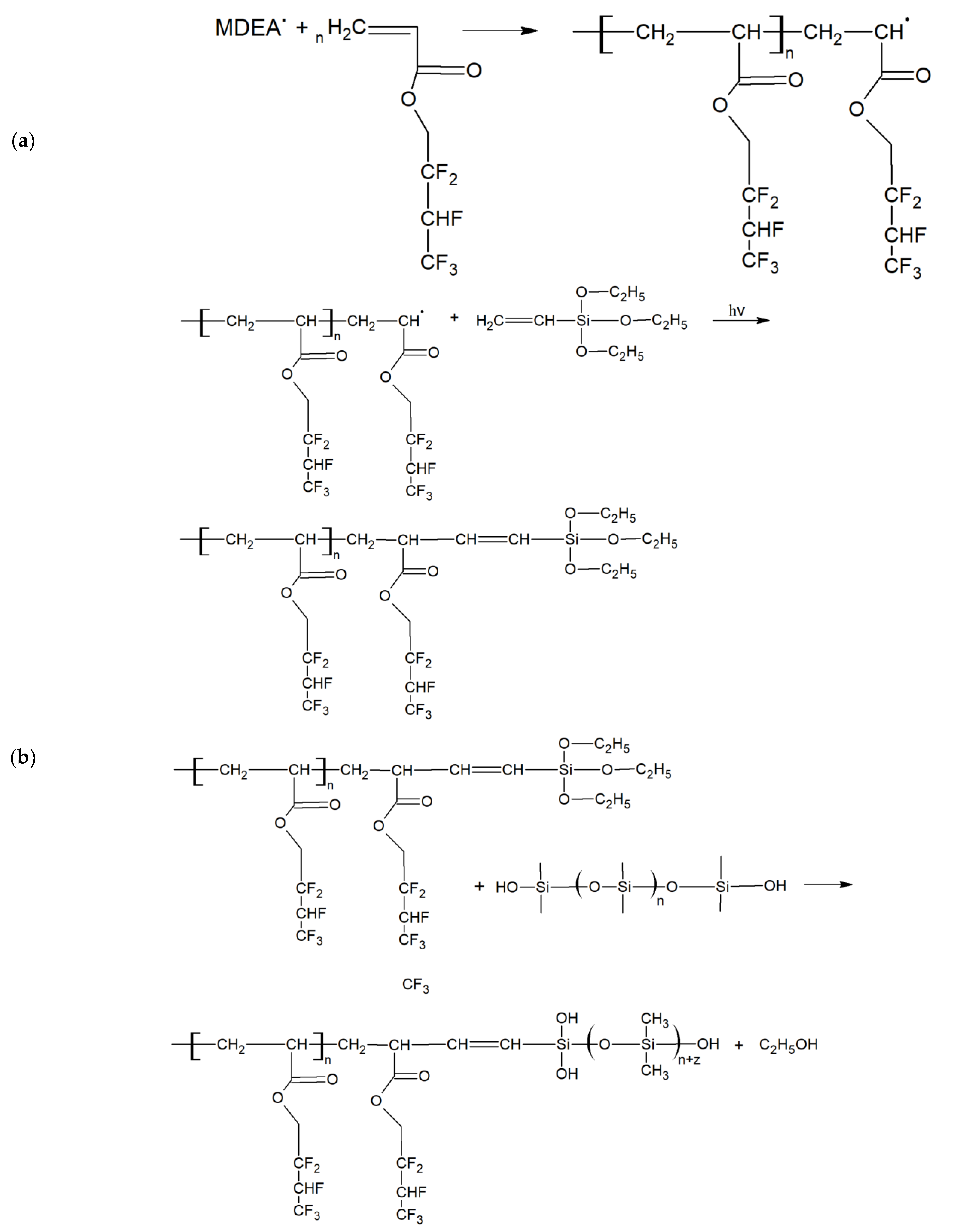Polymers 14 00612 g001