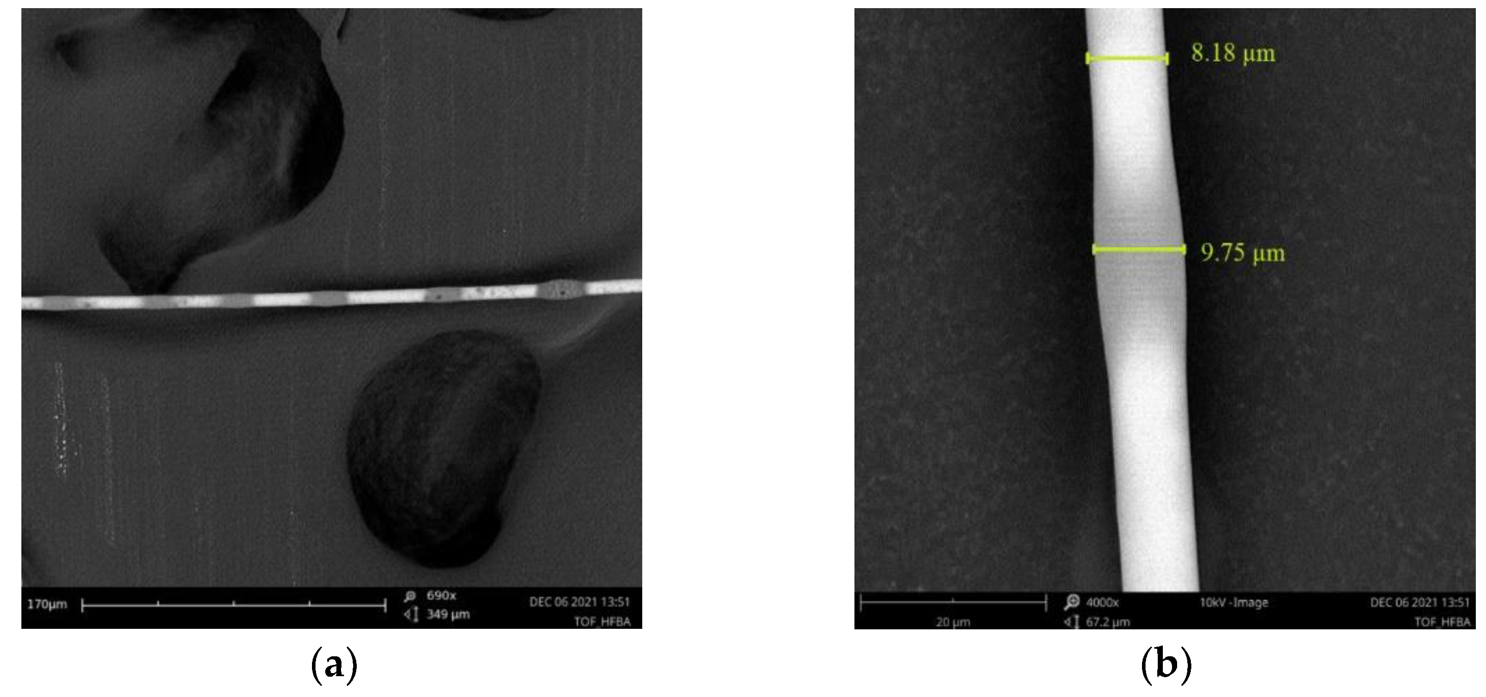 Polymers 14 00612 g007