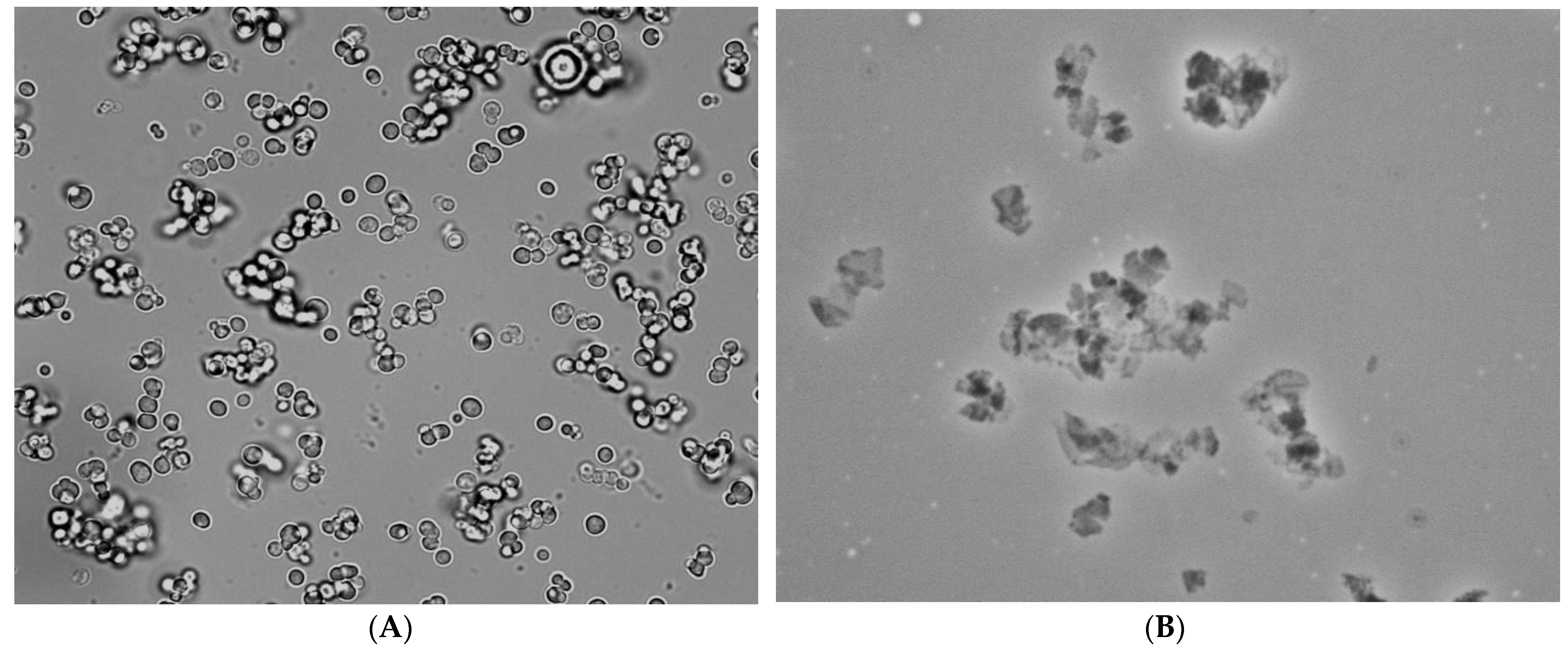Polymers 14 00613 g003 Polymers 14 00613 g003