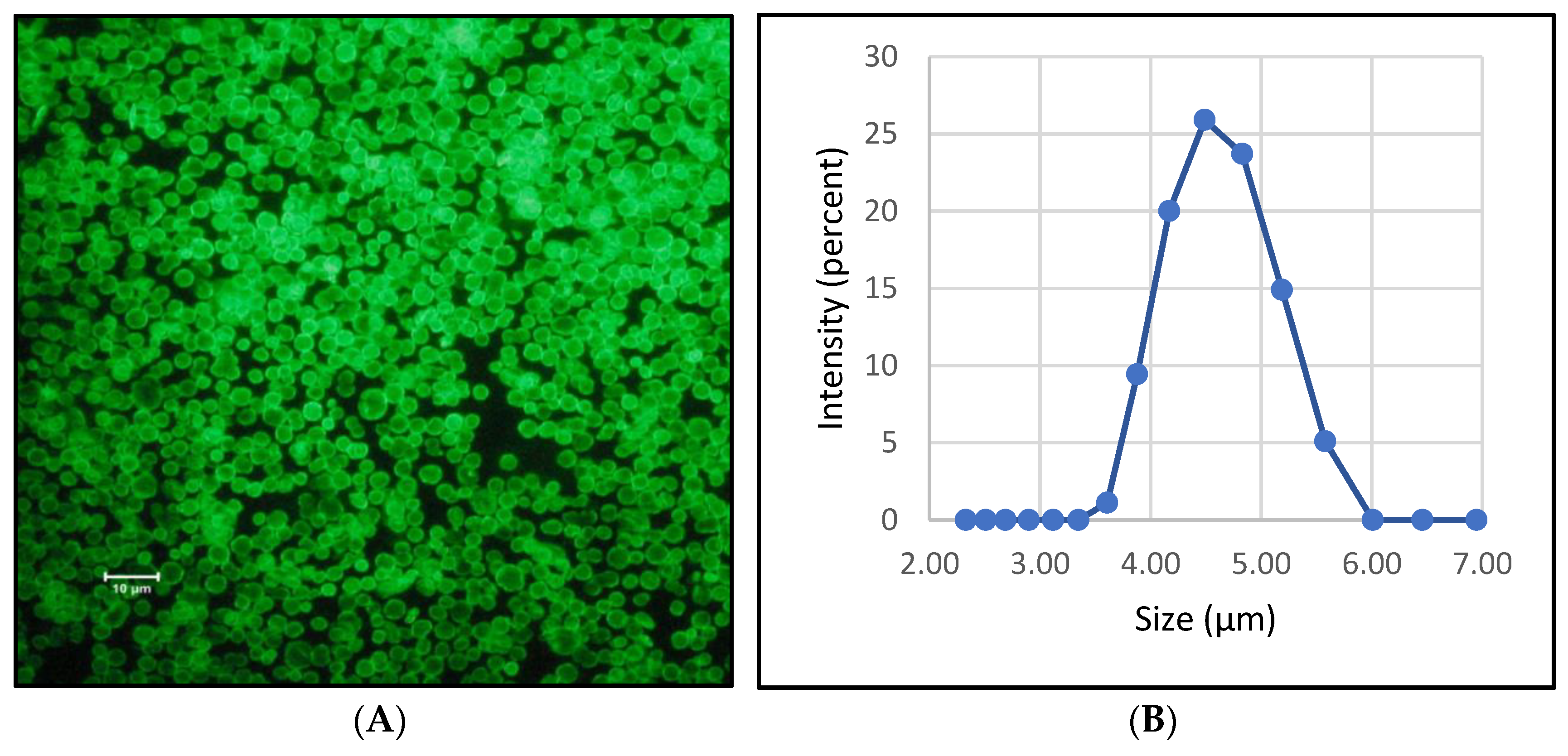 Polymers 14 00613 g005 Polymers 14 00613 g005