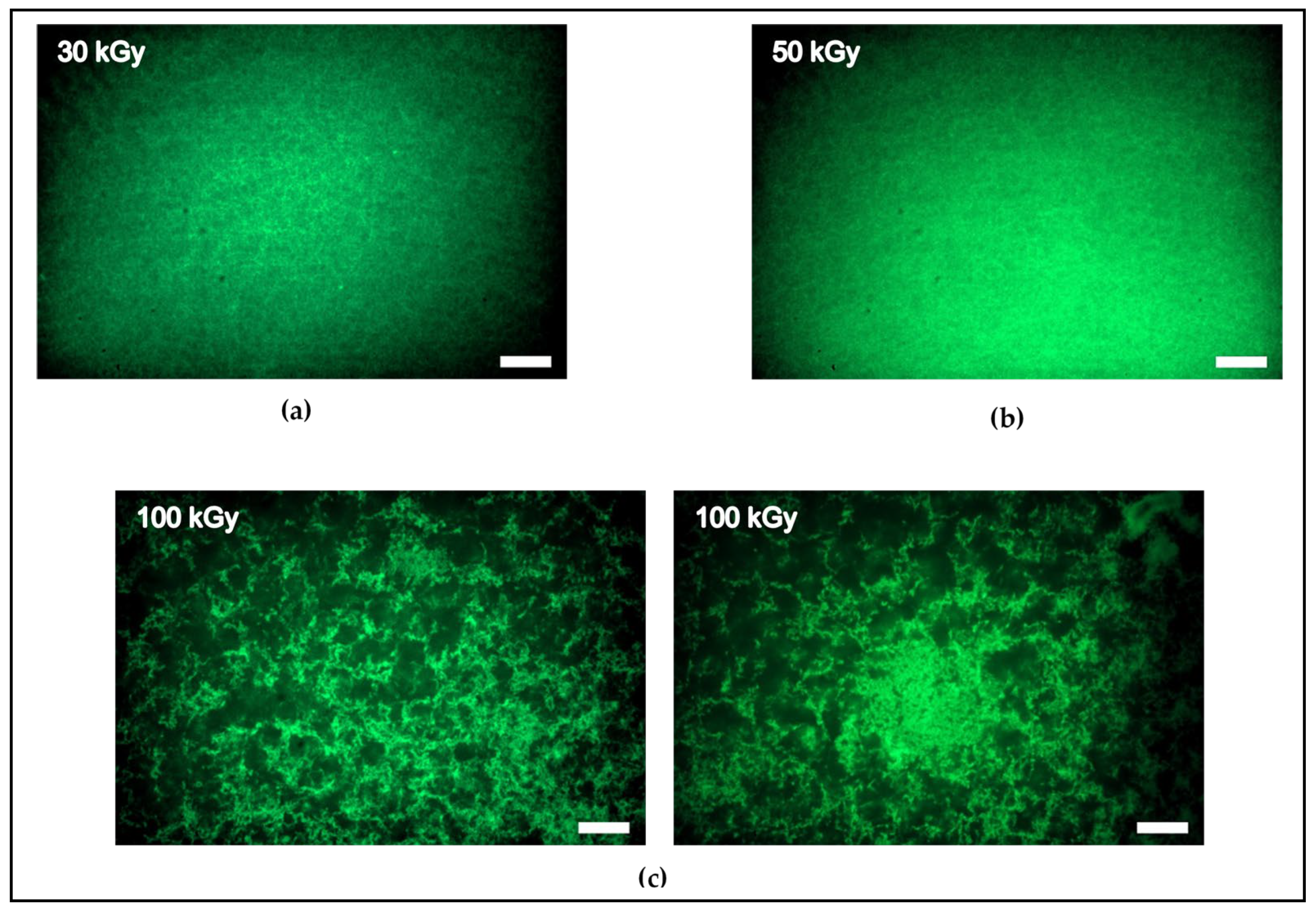 Polymers 14 00614 g002