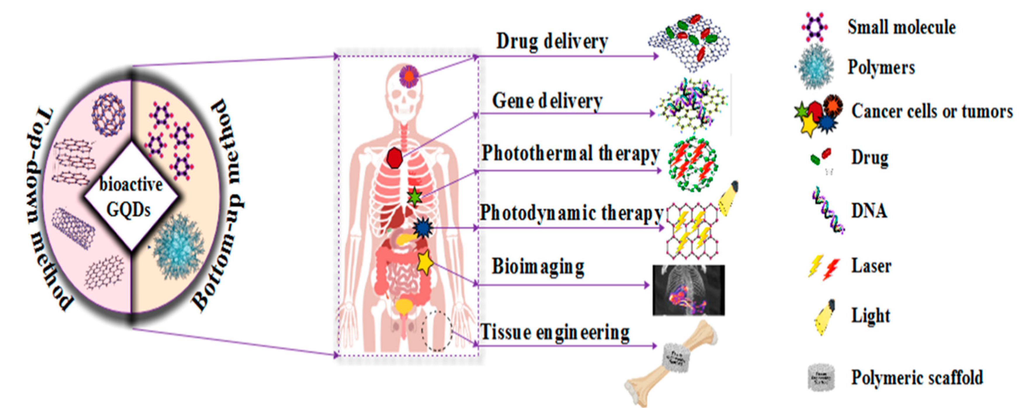 Polymers 14 00617 g001