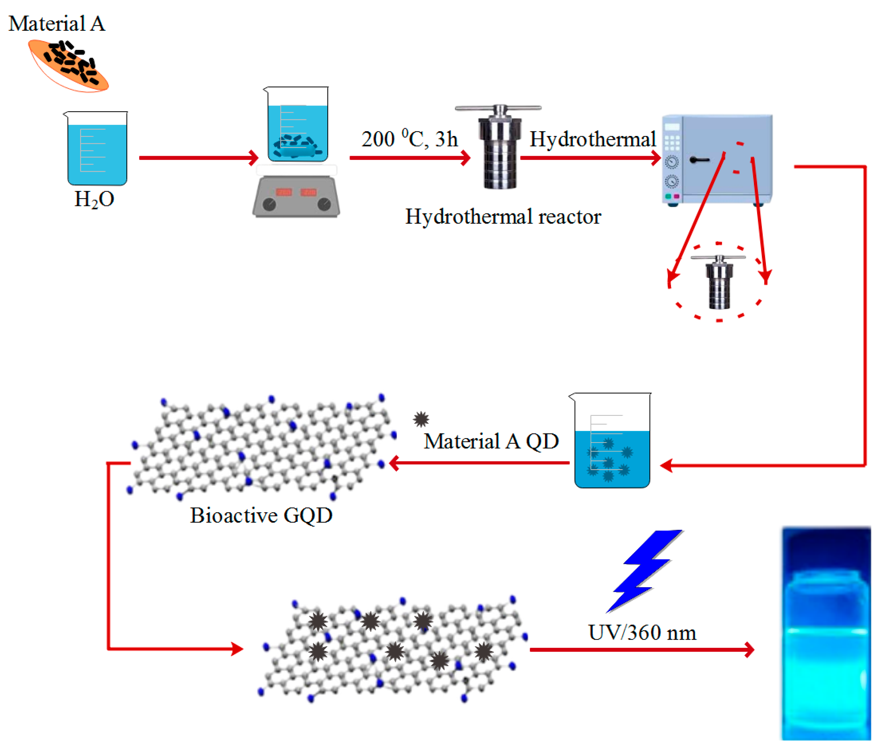 Polymers 14 00617 g003