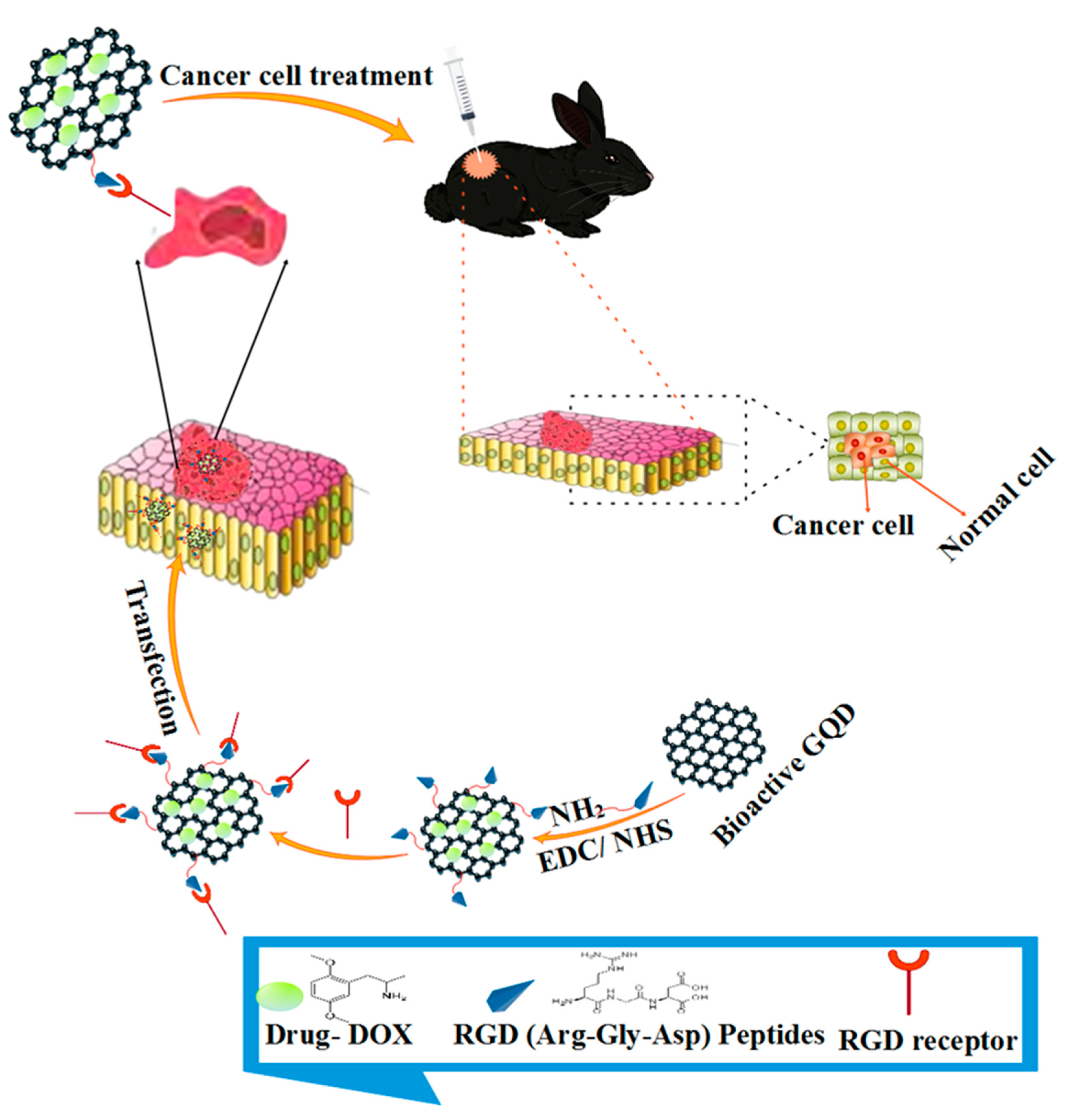 Polymers 14 00617 g007