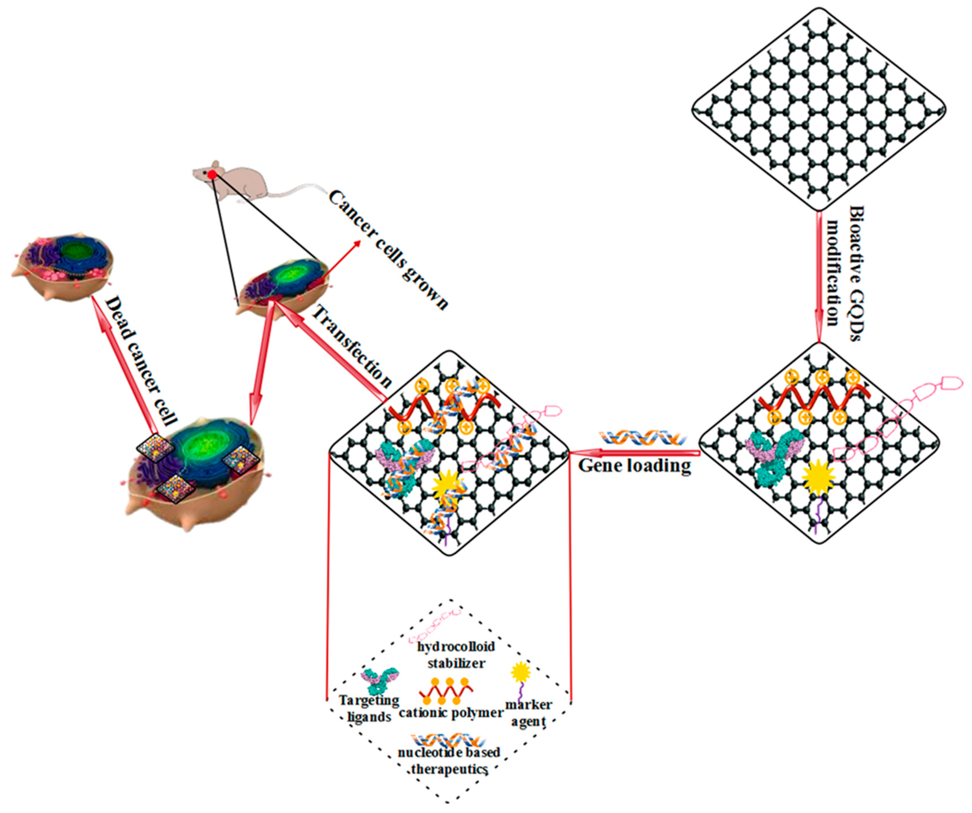 Polymers 14 00617 g008