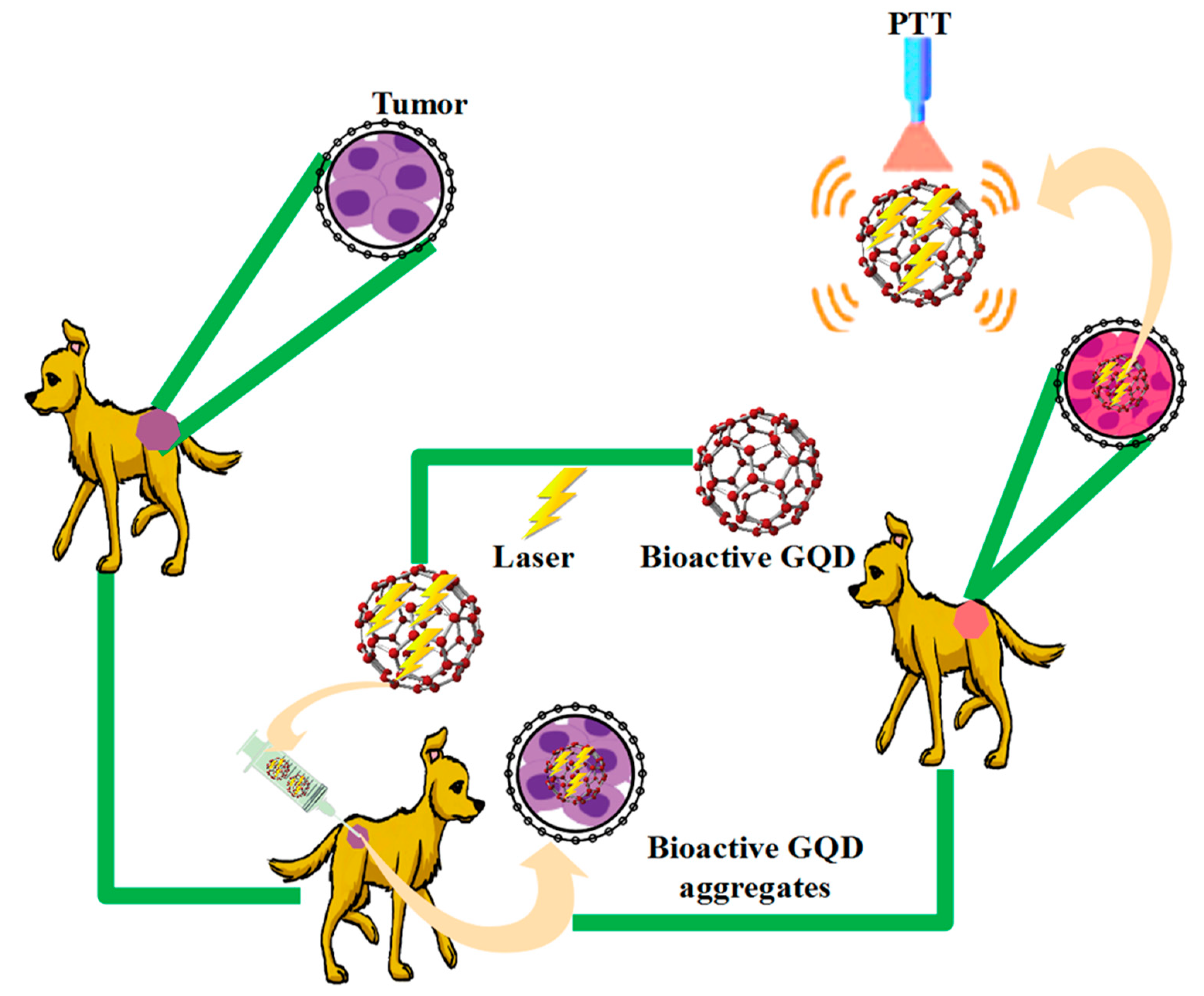Polymers 14 00617 g009