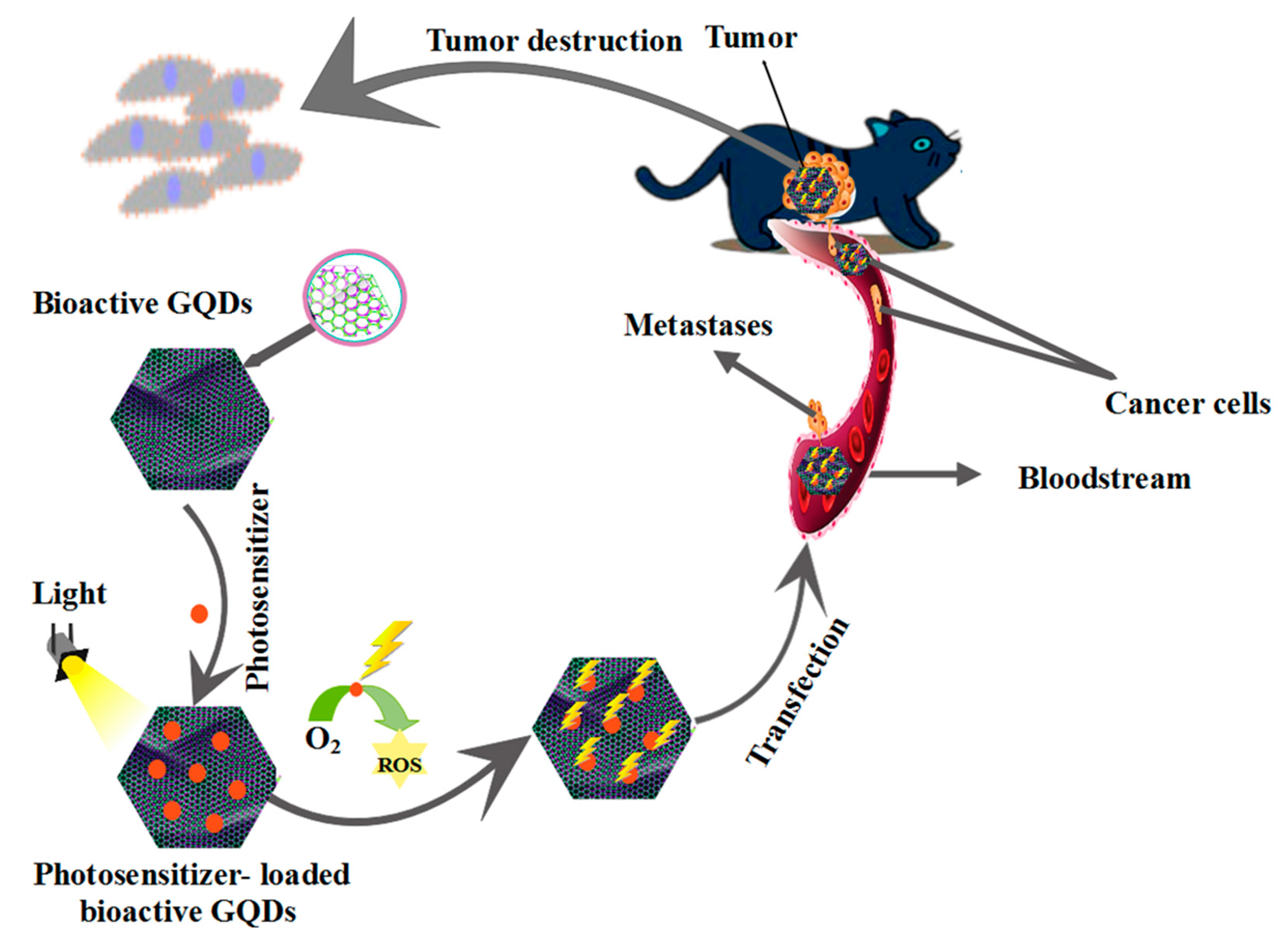 Polymers 14 00617 g010