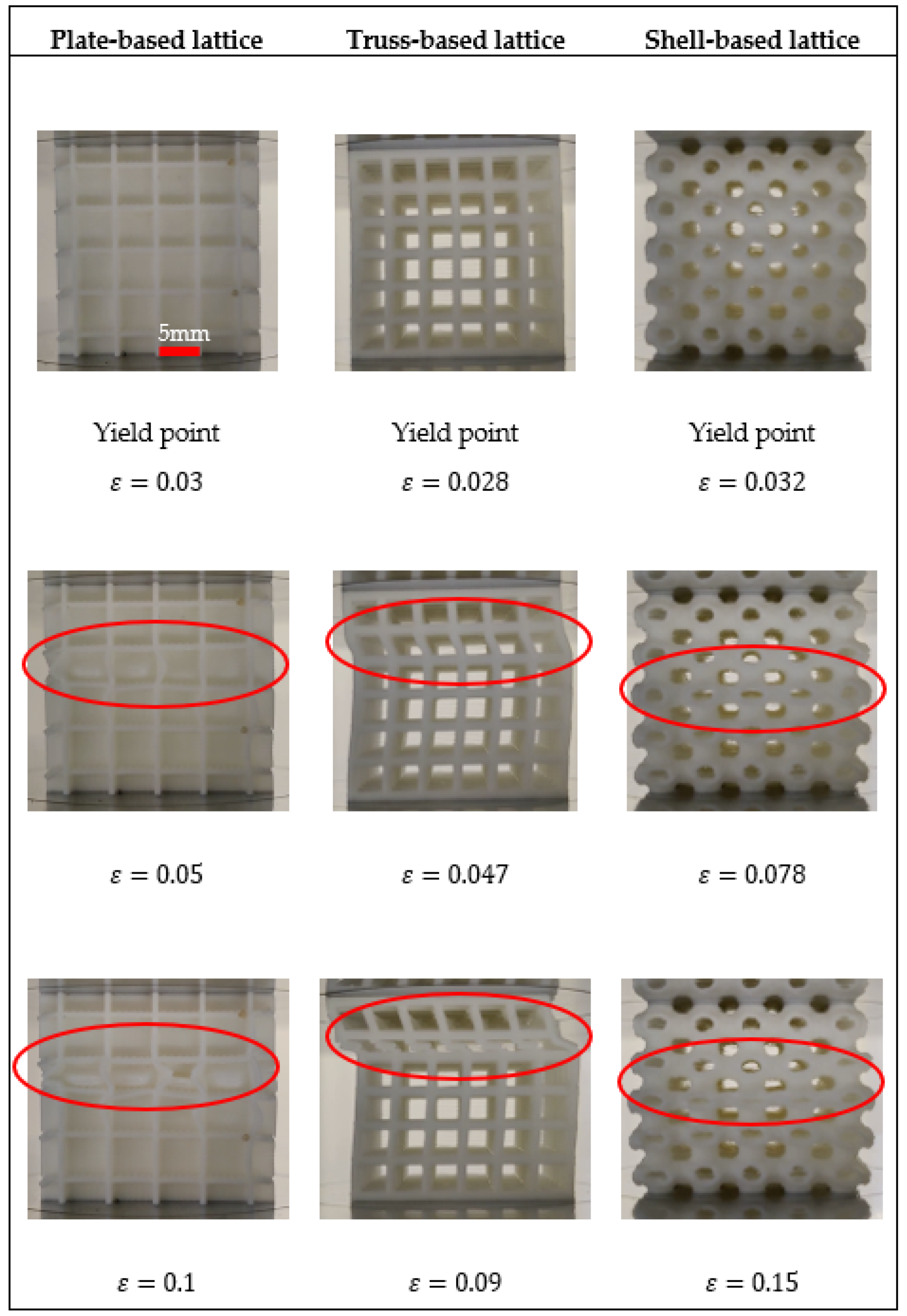 Polymers 14 00618 g003 550