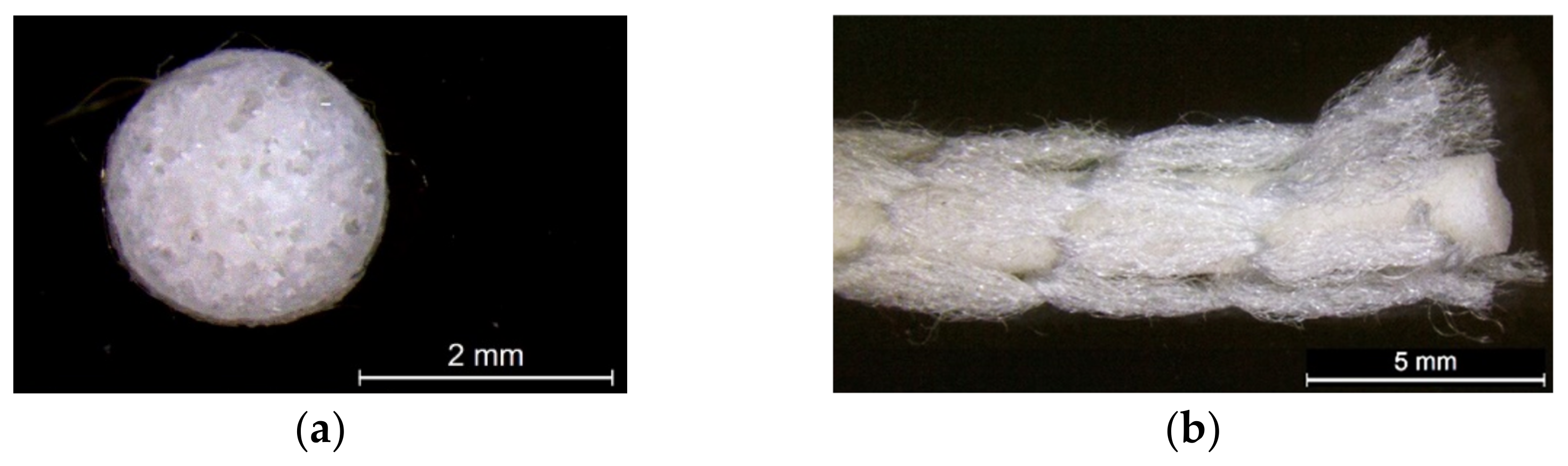 Polymers 14 00619 g001