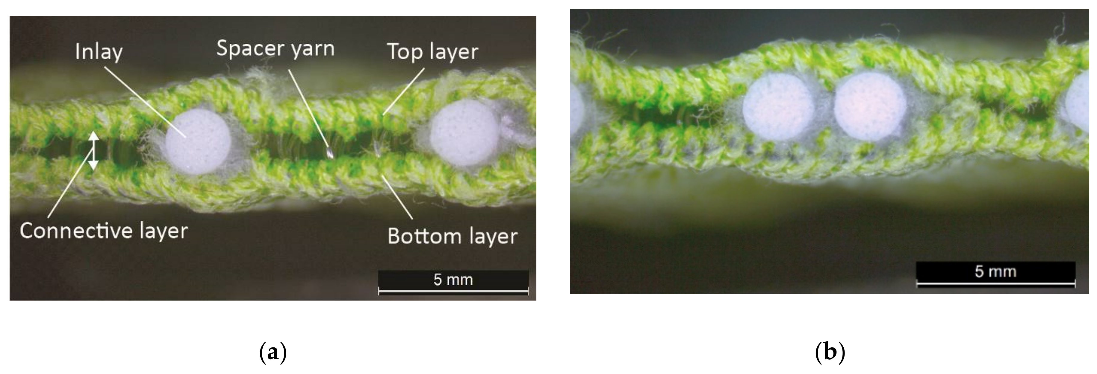 Polymers 14 00619 g002