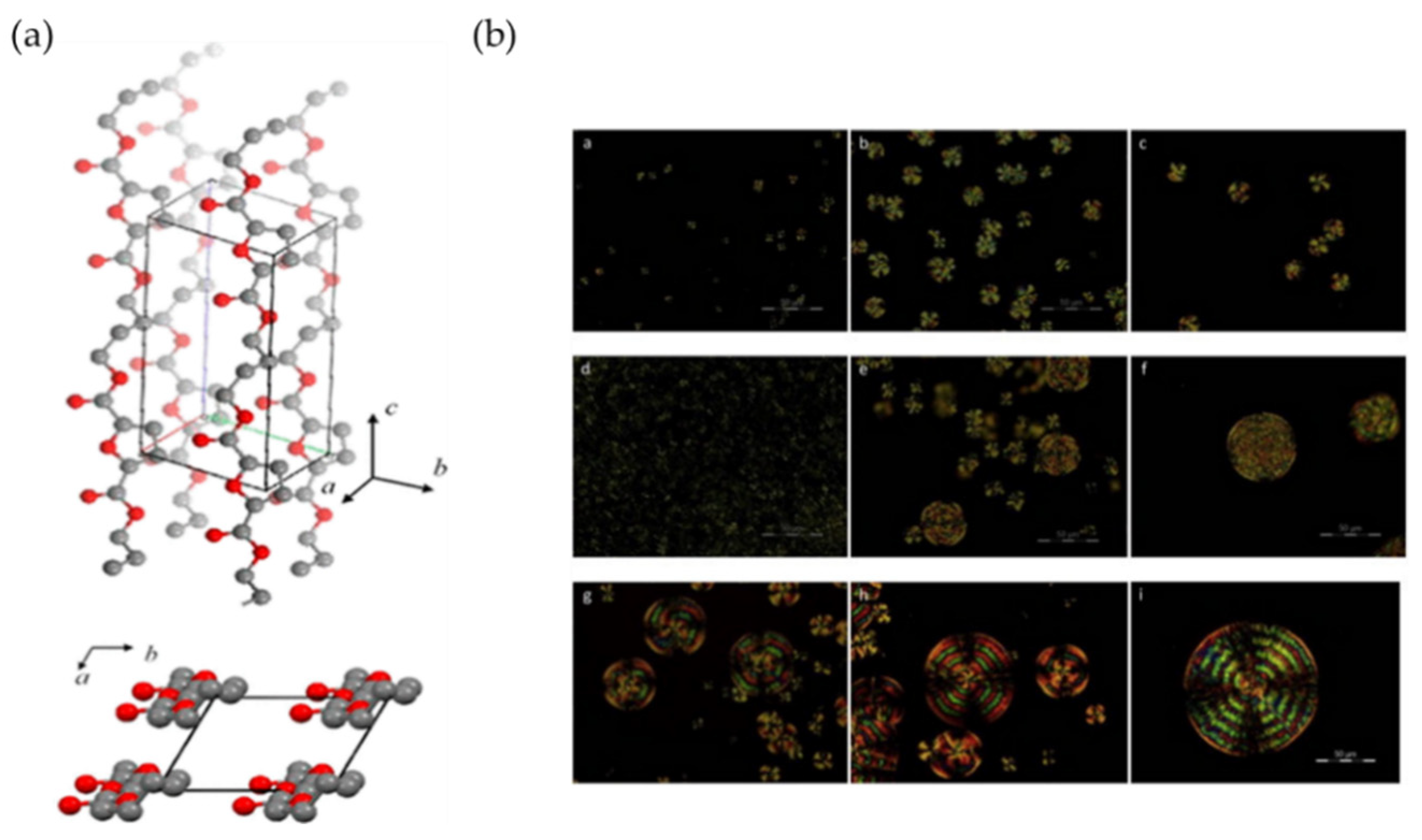 Polymers 14 00625 g004 550