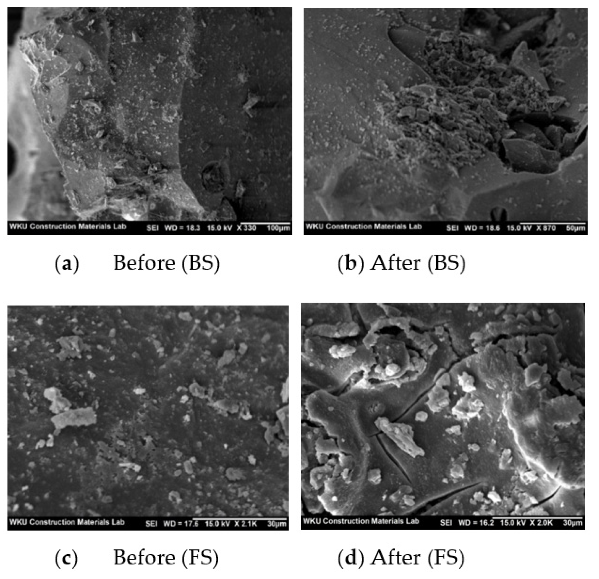 Polymers 14 00626 g005