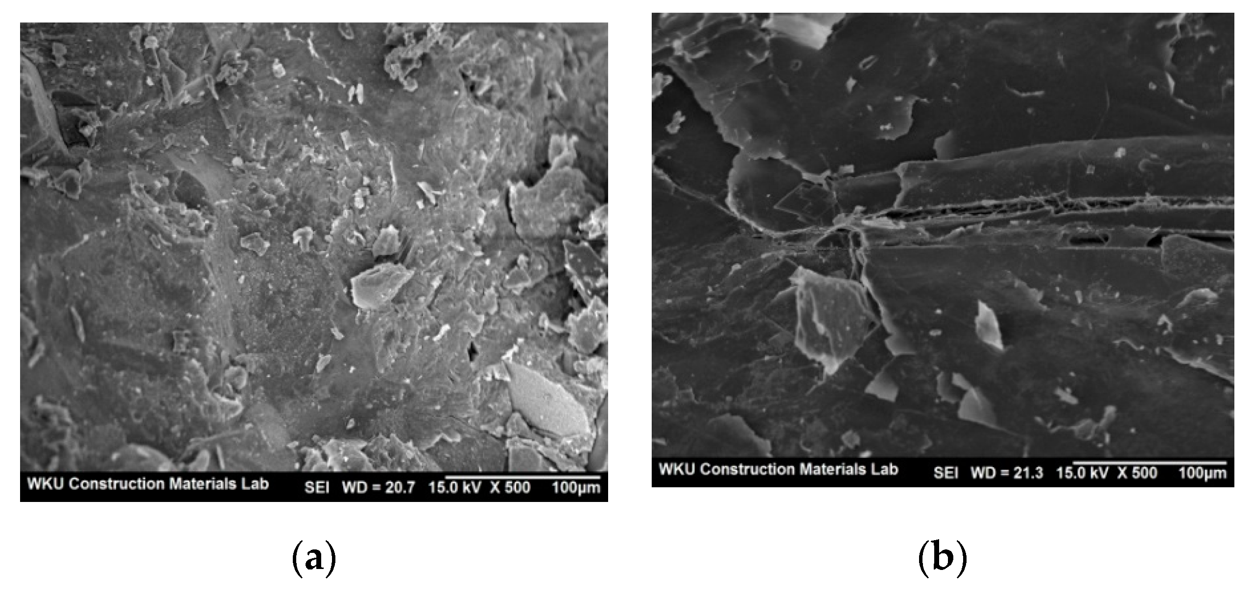 Polymers 14 00626 g008