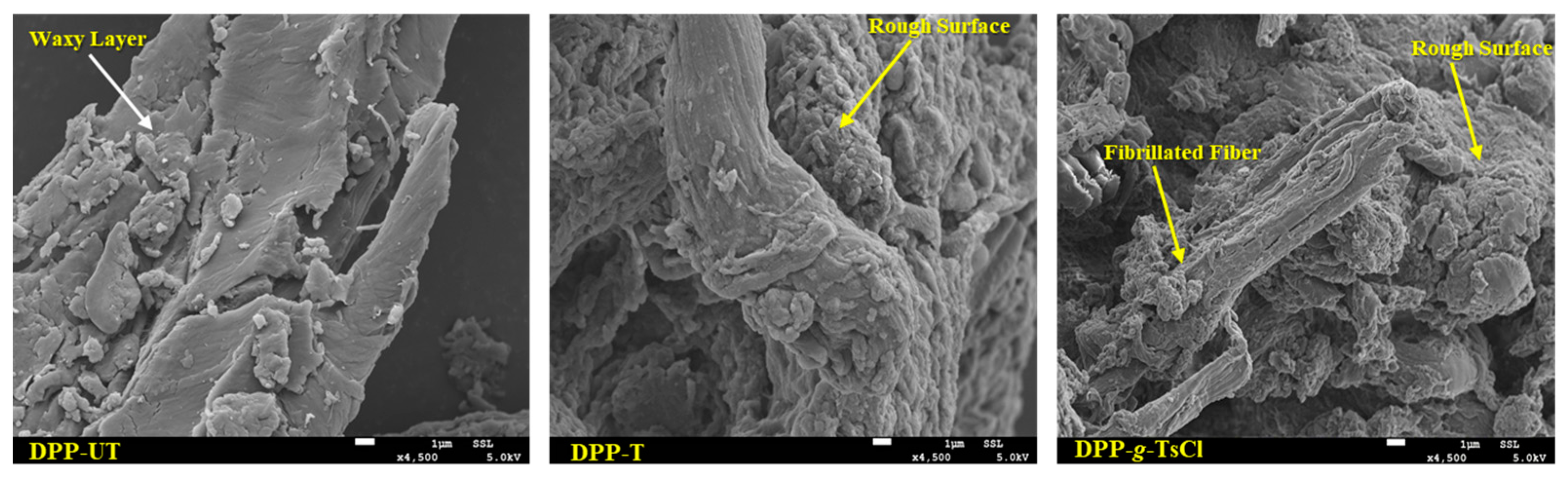 Polymers 14 00629 g007