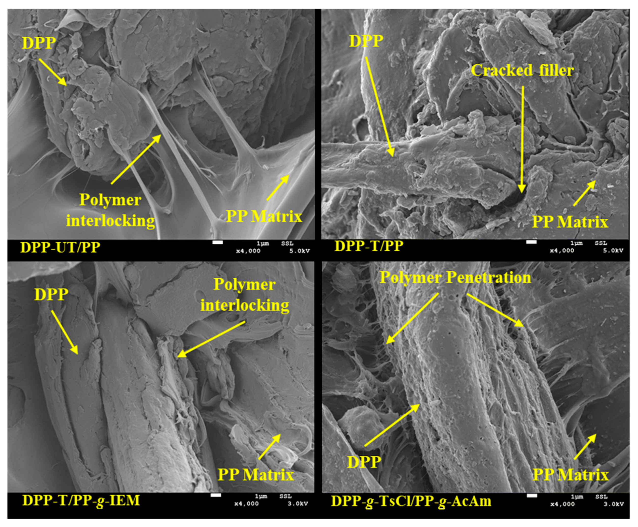 Polymers 14 00629 g008