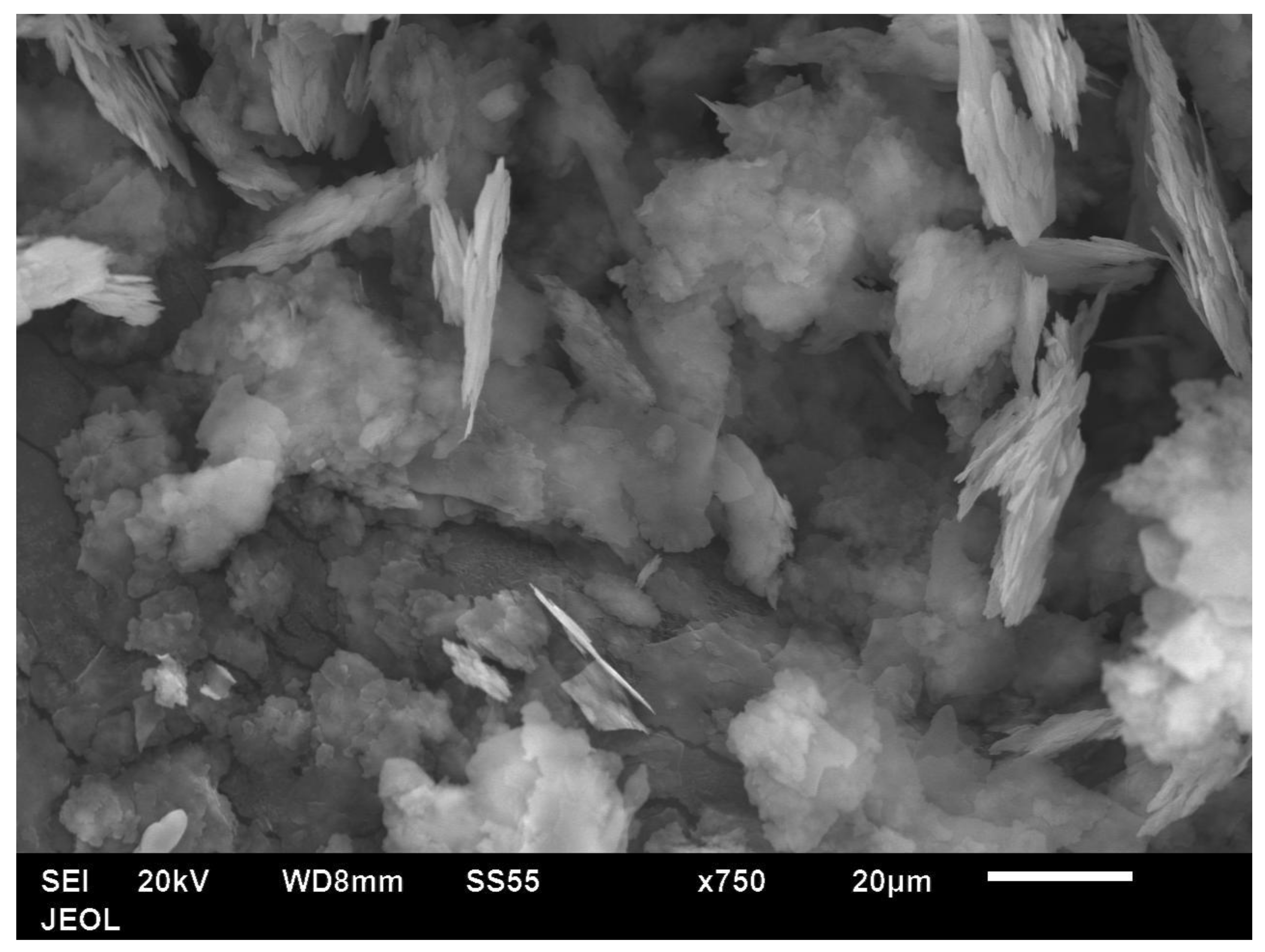 Polymers 14 00630 g002 550