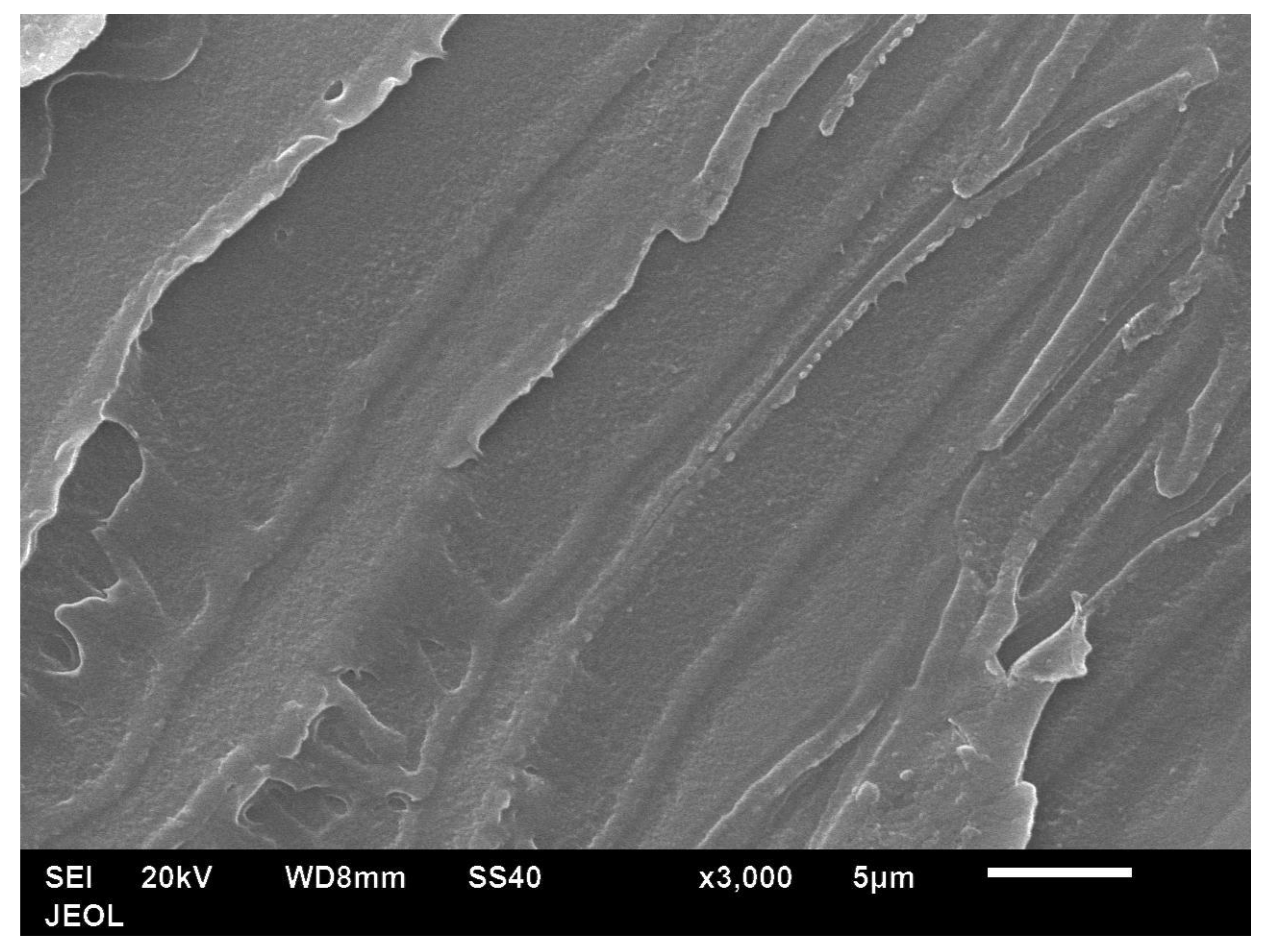 Polymers 14 00630 g013 550